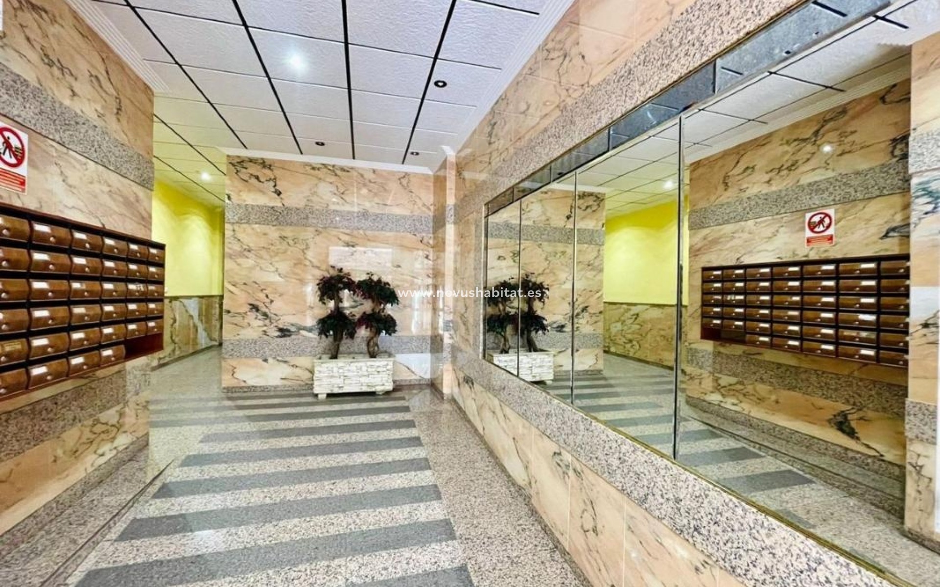 Nýbygging - Apartament - Torrevieja