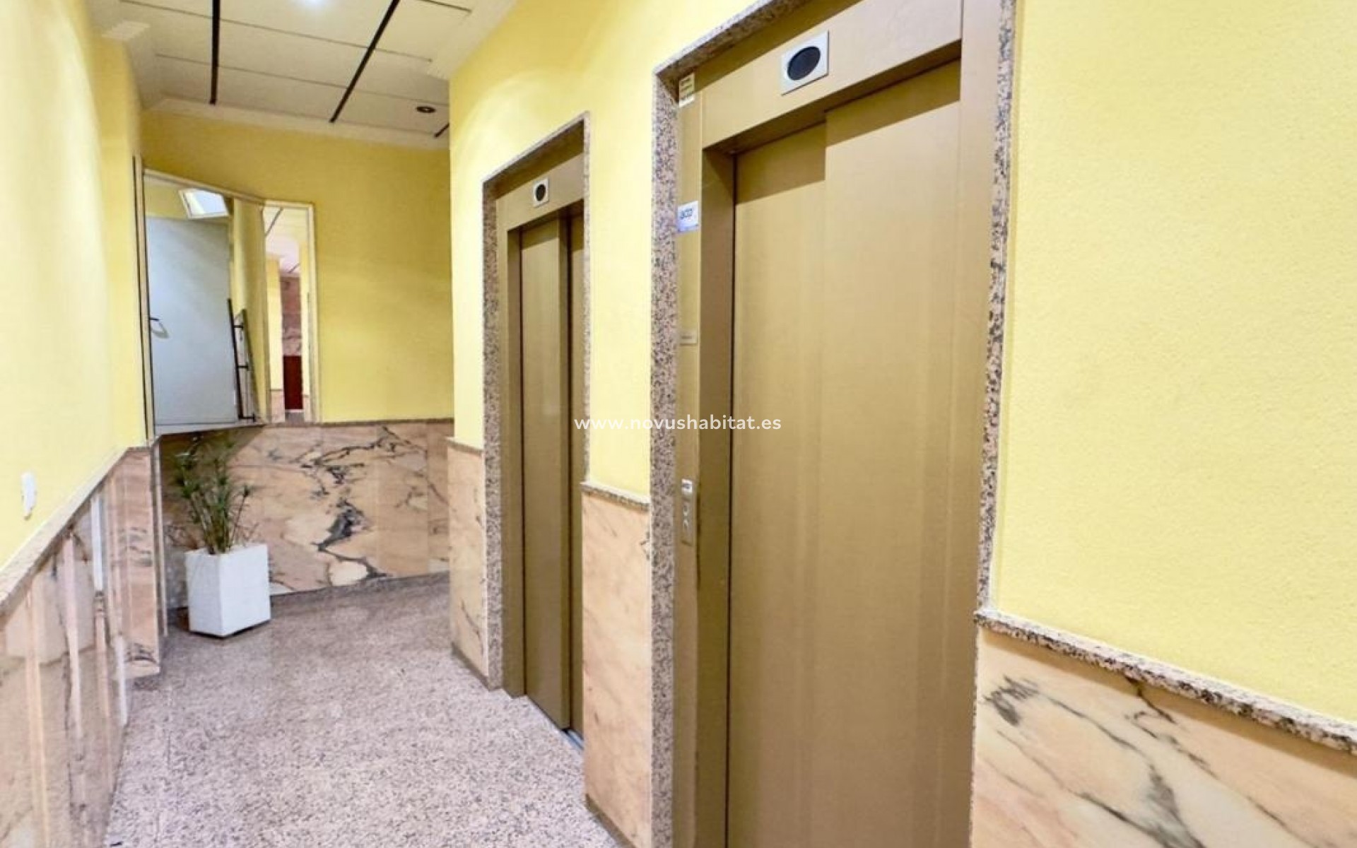 Nýbygging - Apartament - Torrevieja