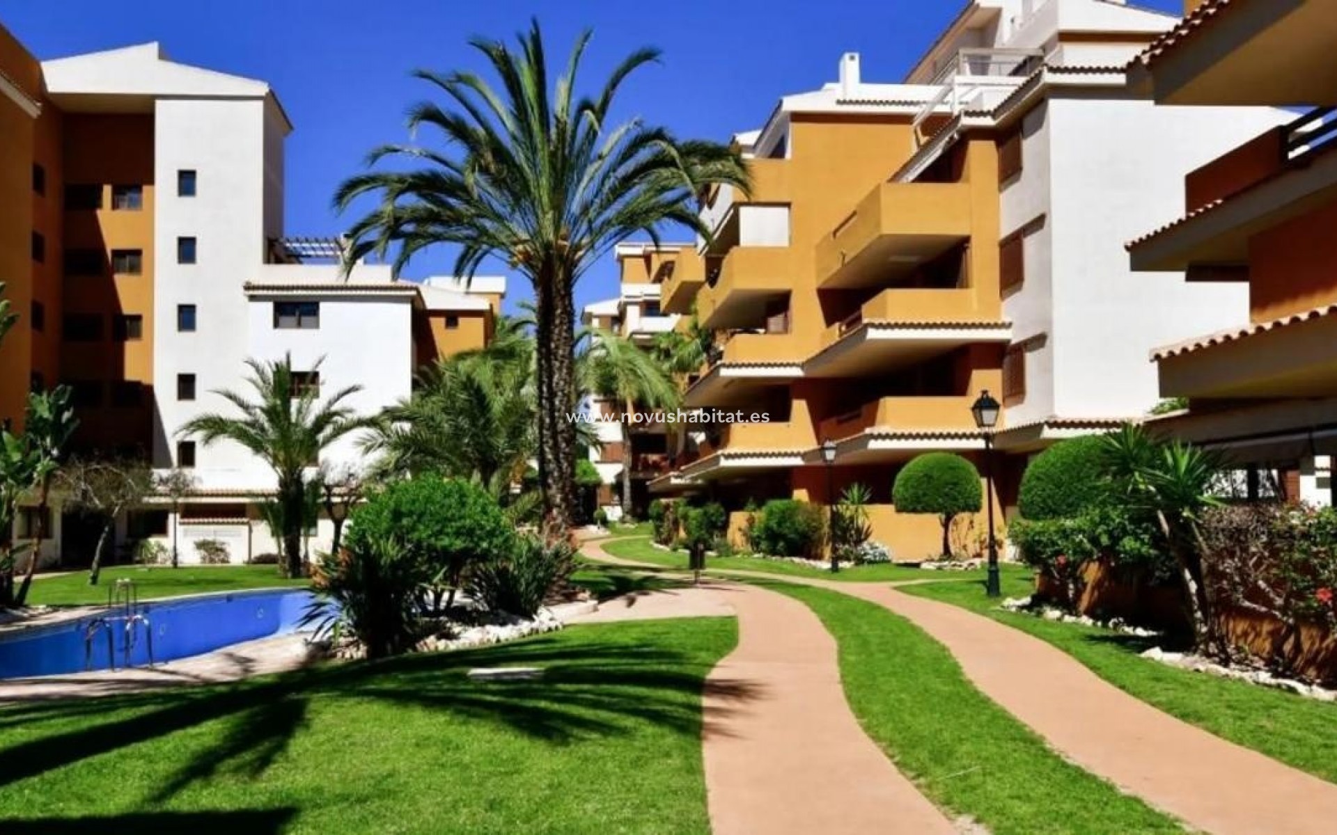 Nýbygging - Apartament - Torrevieja