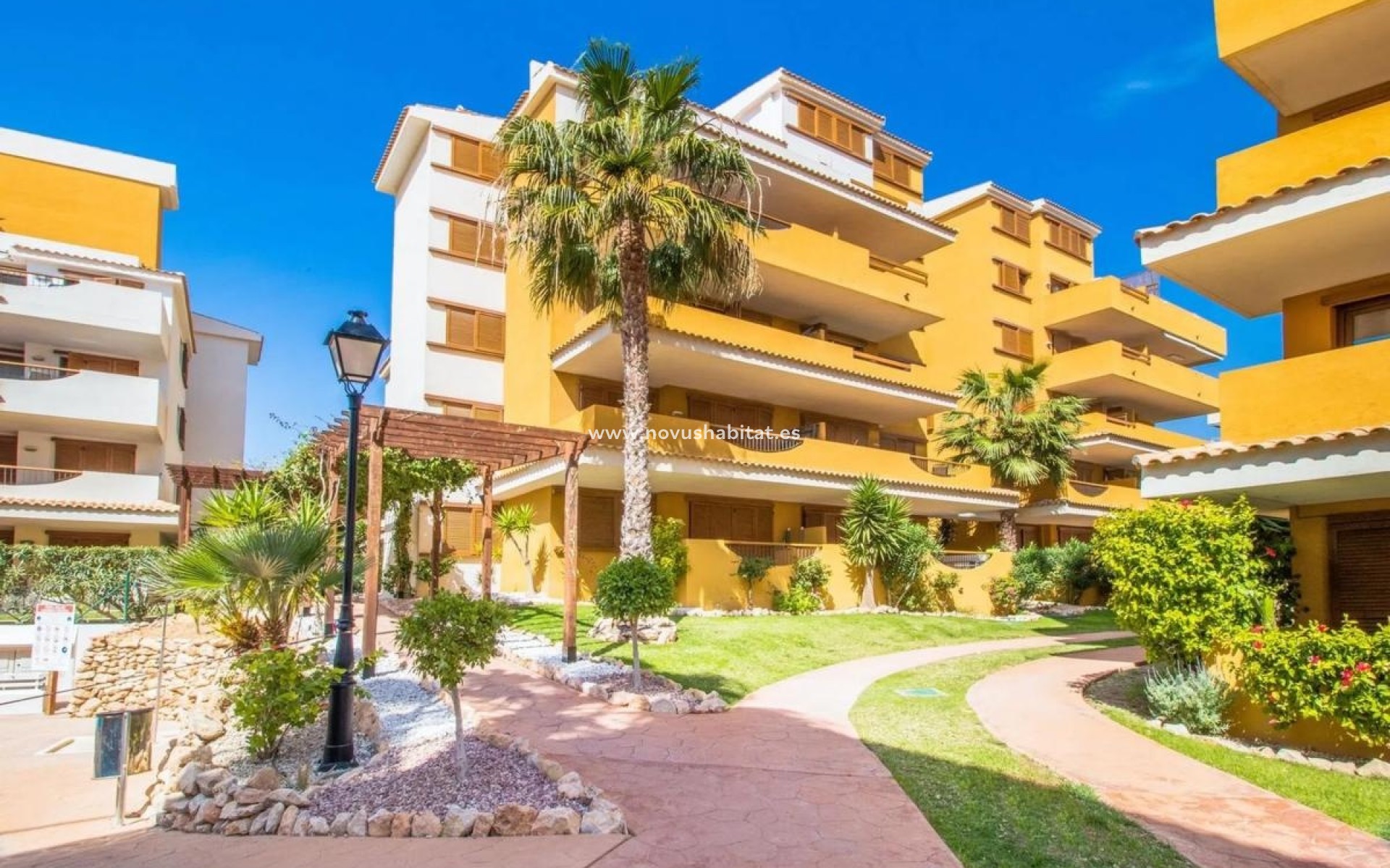 Nýbygging - Apartament - Torrevieja