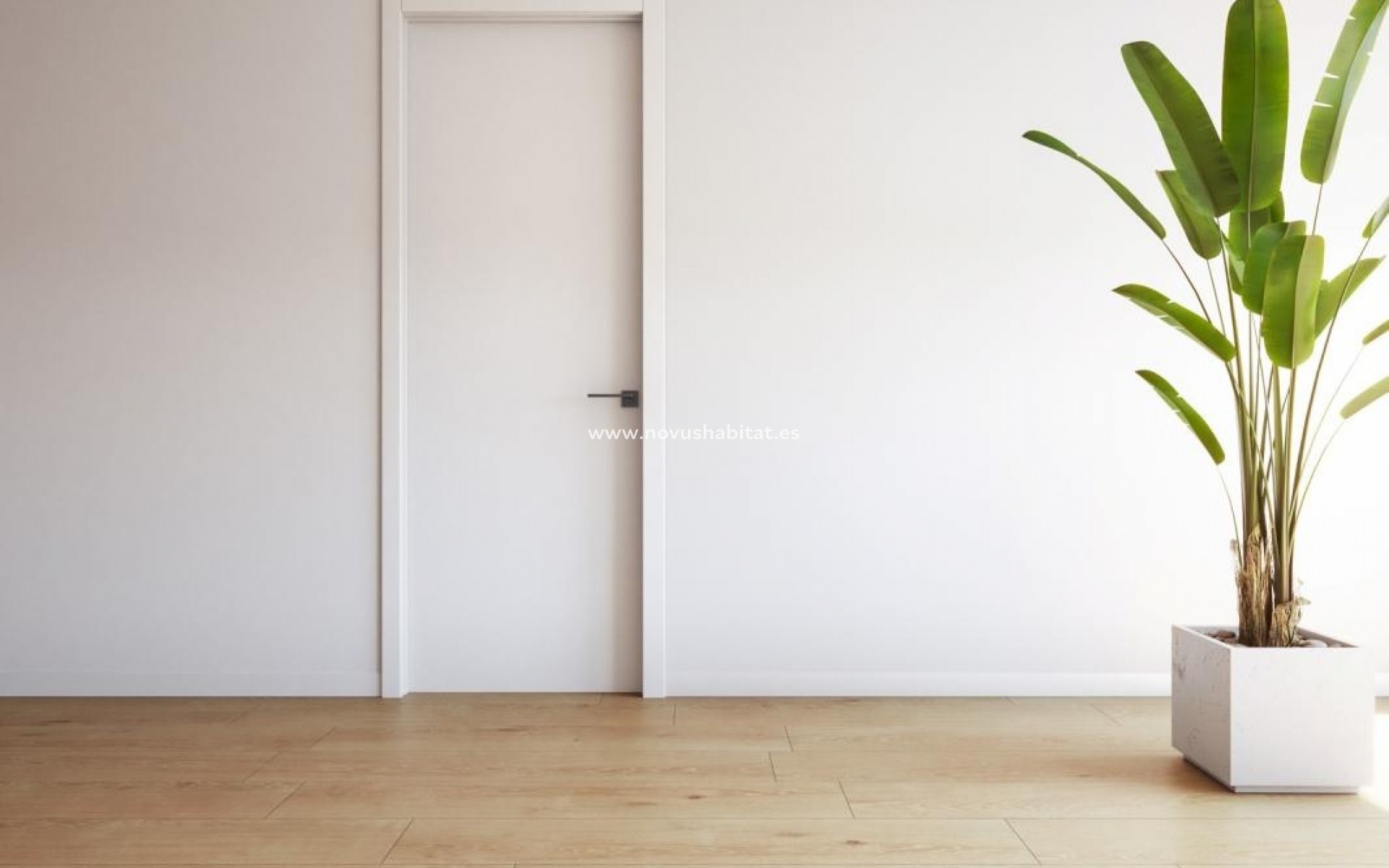 Nýbygging - Apartament - Torrevieja