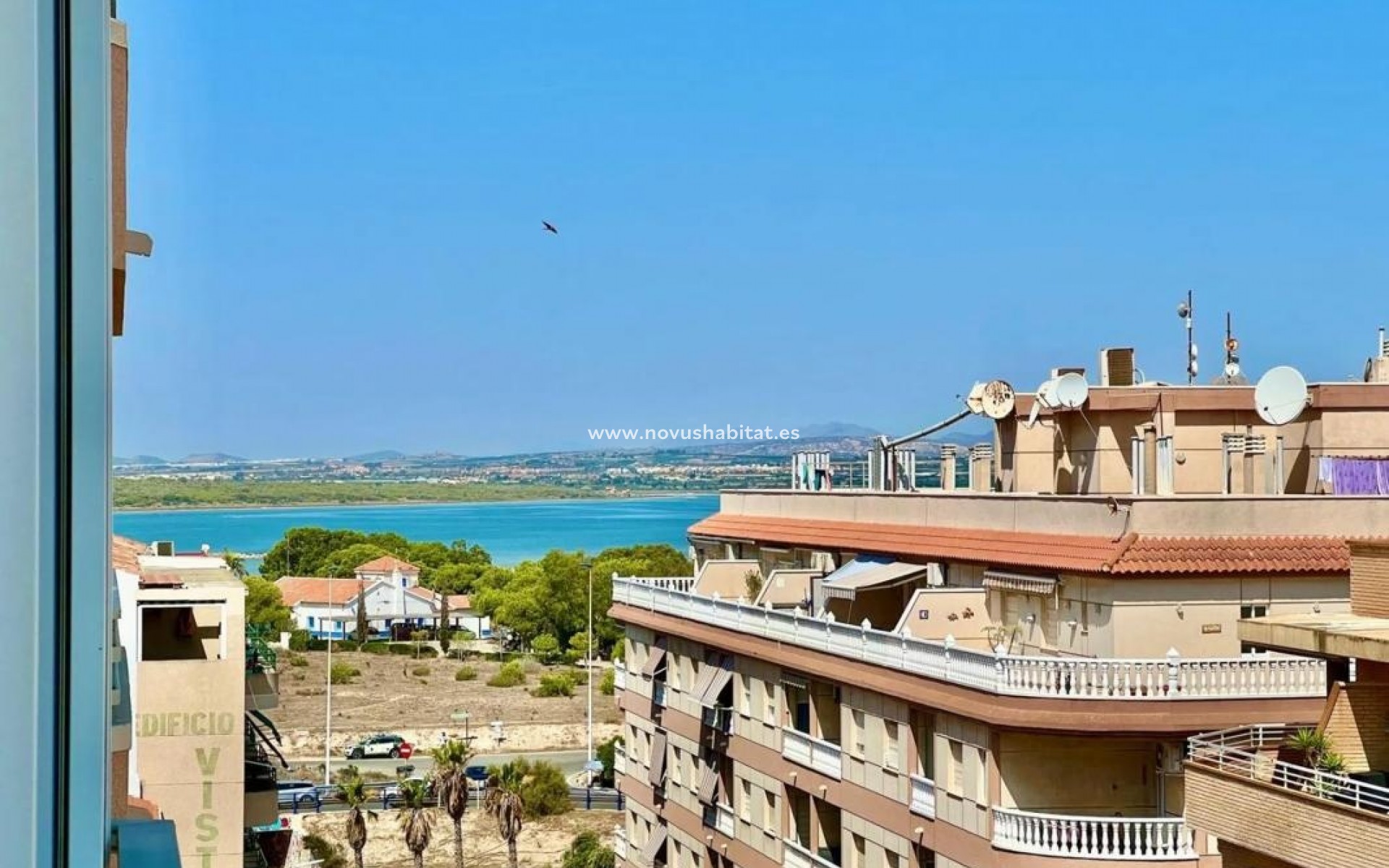 Nýbygging - Apartament - Torrevieja