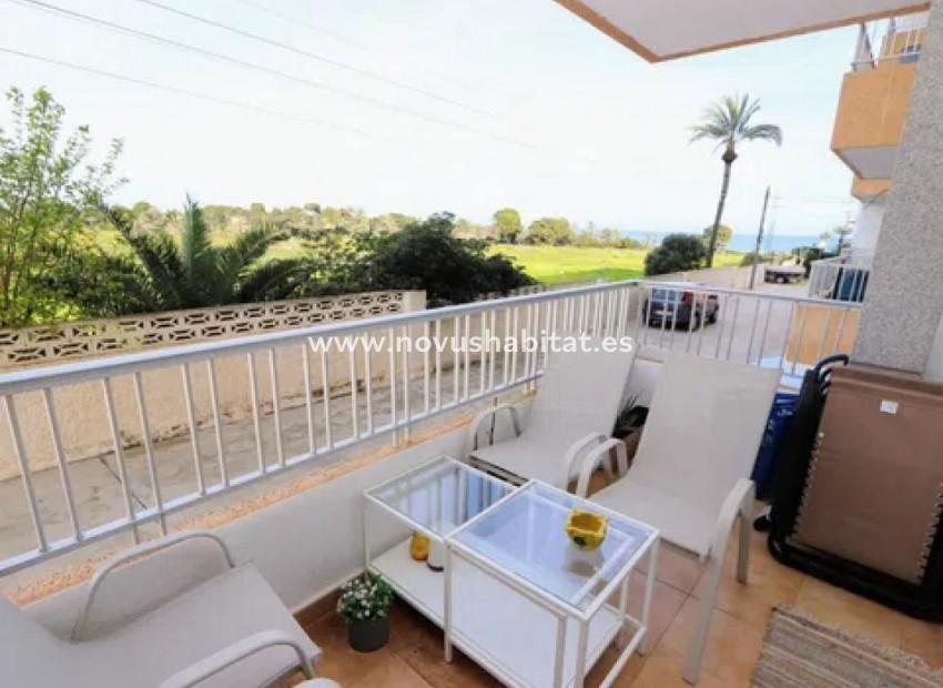 Nýbygging - Apartament - Torrevieja