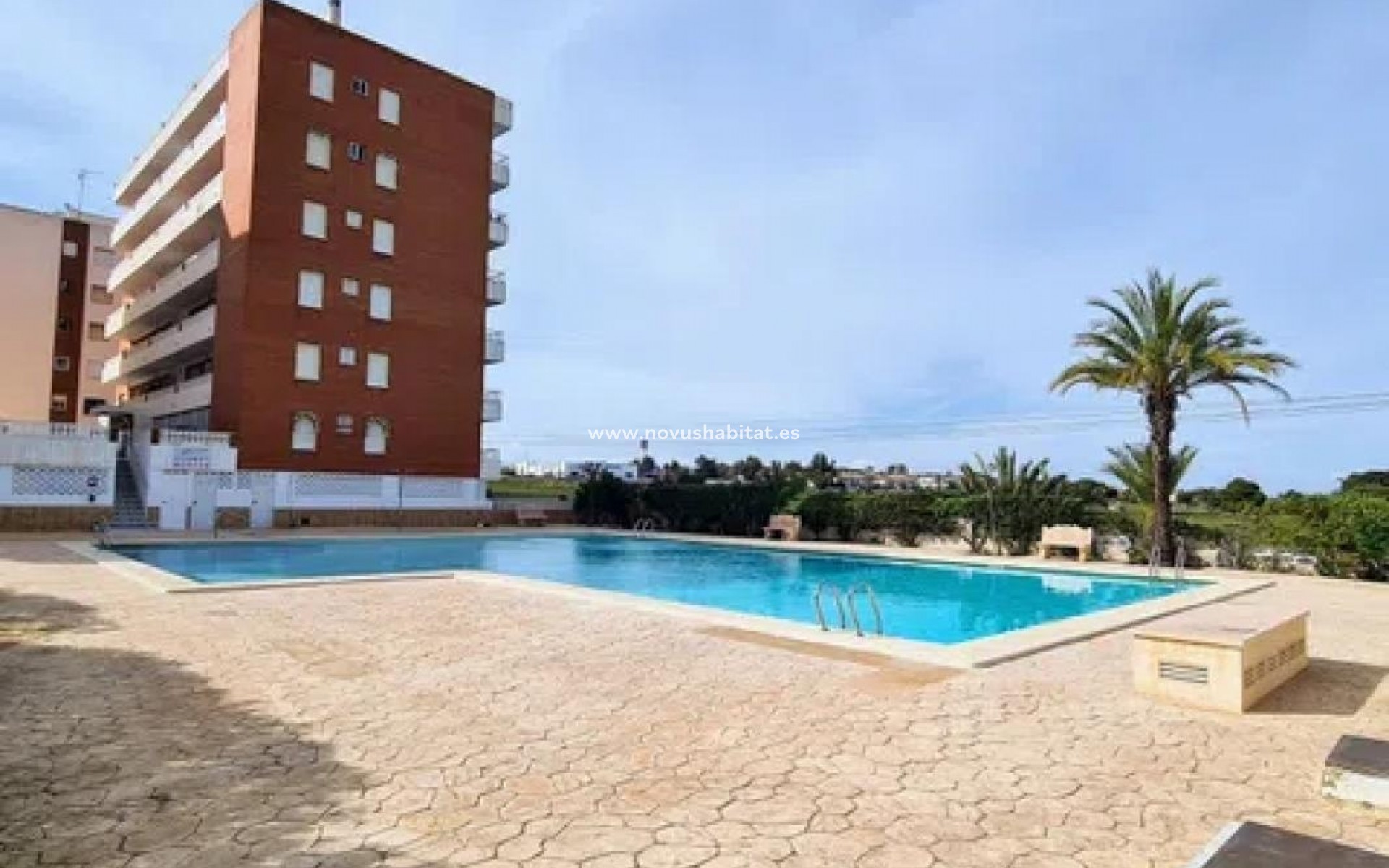 Nýbygging - Apartament - Torrevieja