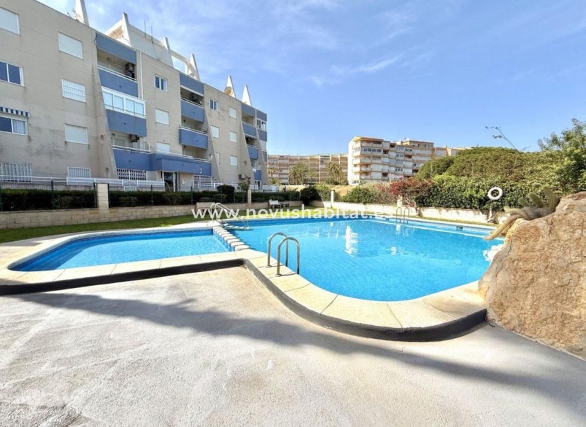 Nýbygging - Apartament - Torrevieja