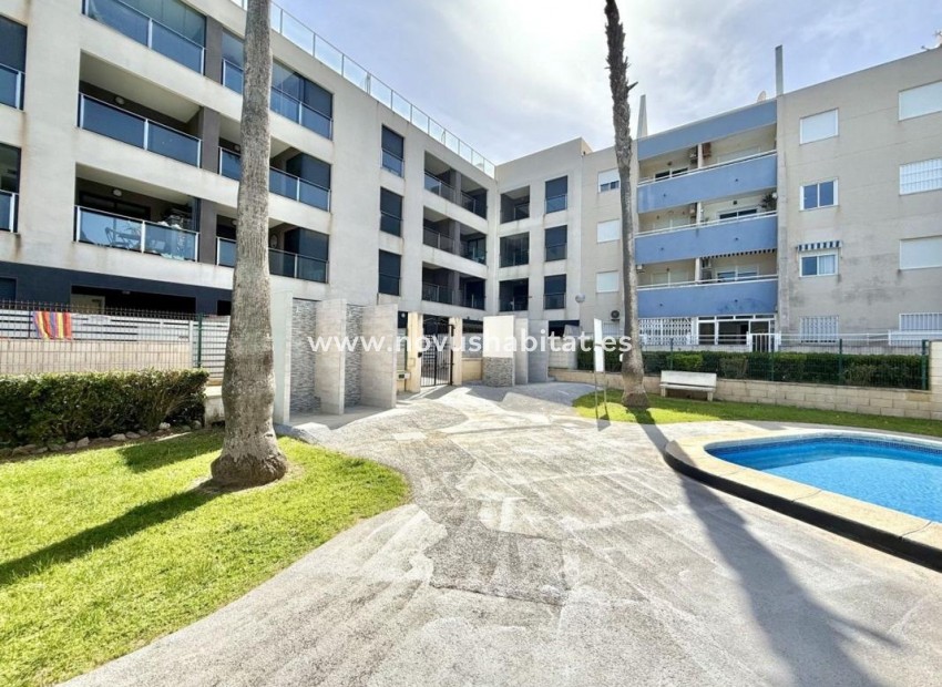 Nýbygging - Apartament - Torrevieja