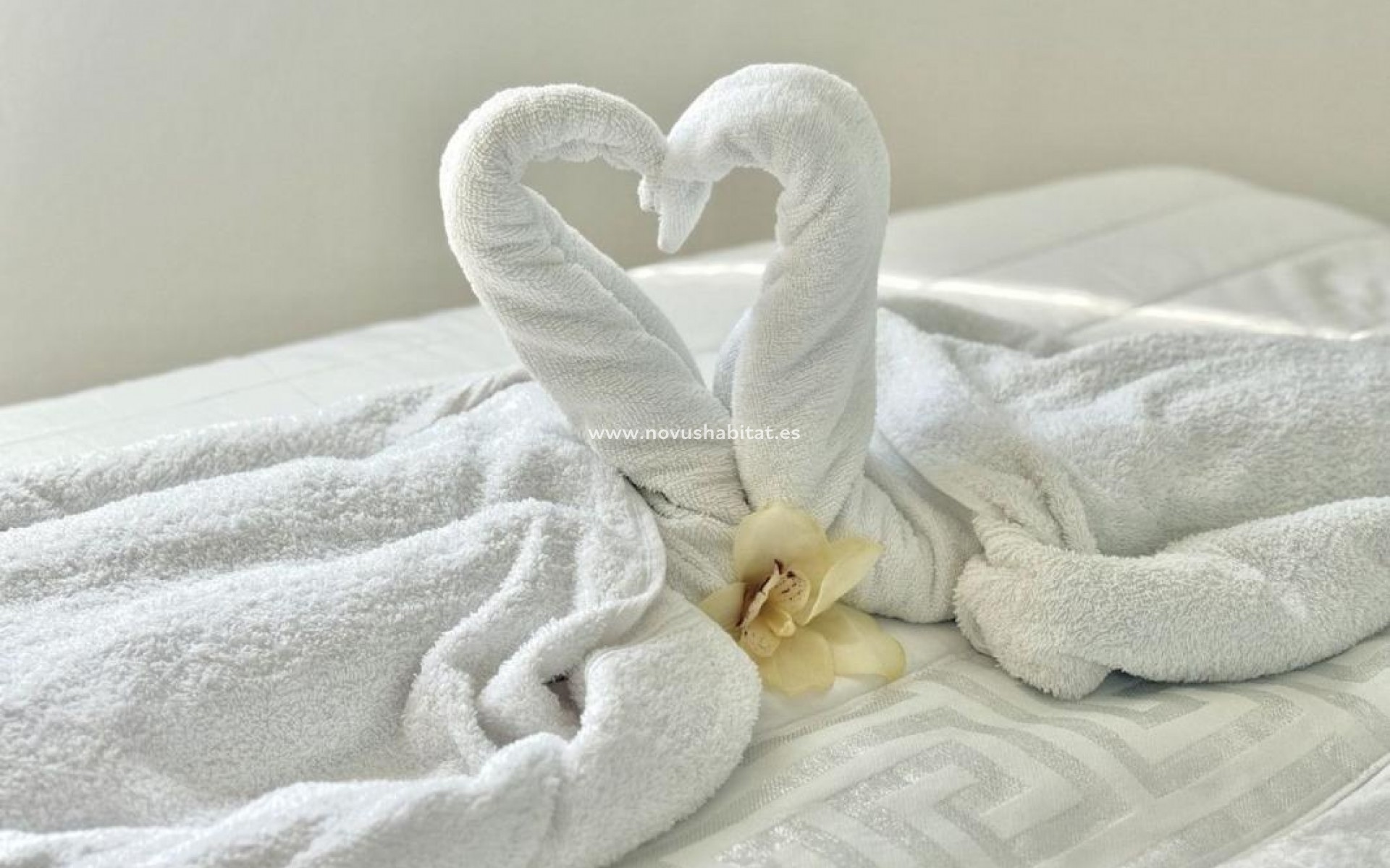 Nýbygging - Apartament - Torrevieja