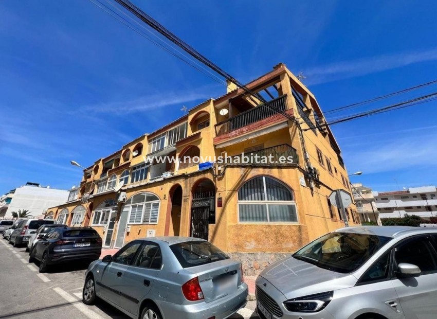 Nýbygging - Apartament - Torrevieja