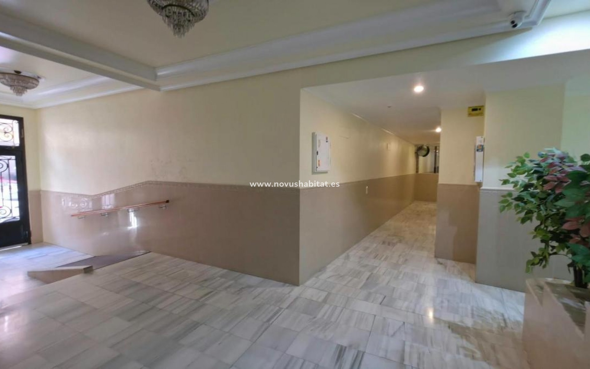 Nýbygging - Apartament - Torrevieja