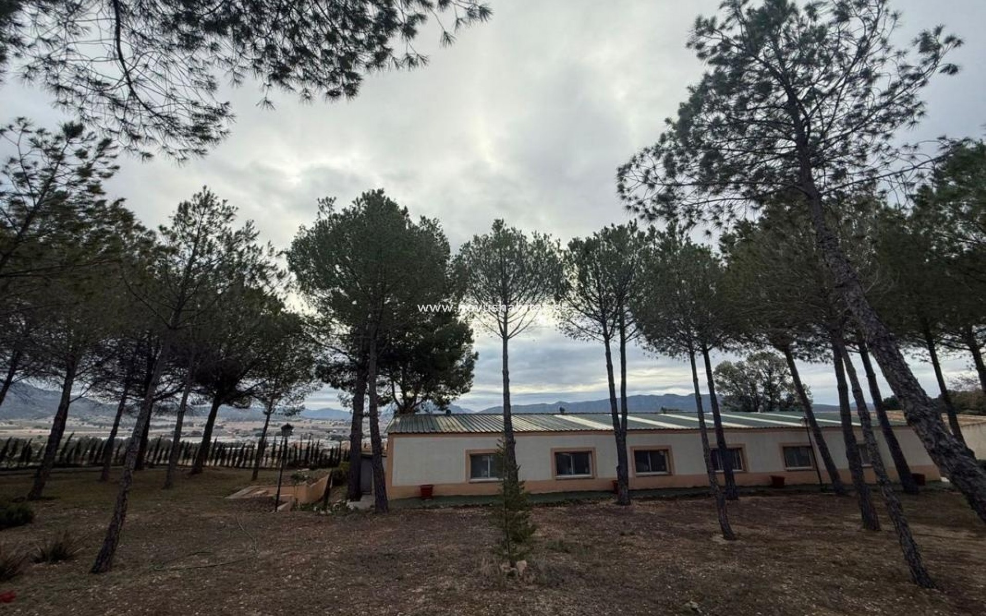Nýbygging - Detached chalet - Torrevieja - Salinas