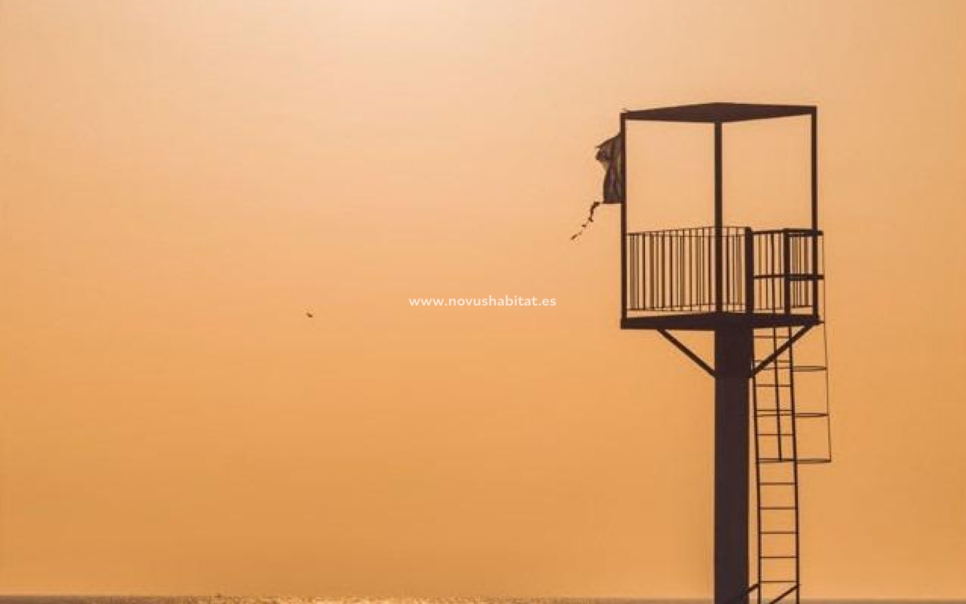 Nýbygging - Ground floor apartment - Almerimar