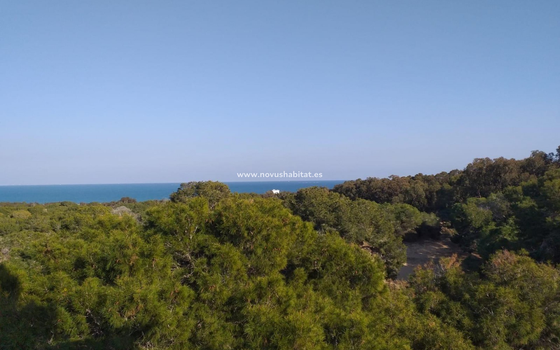 Nýbygging - Ground floor apartment - Guardamar del Segura