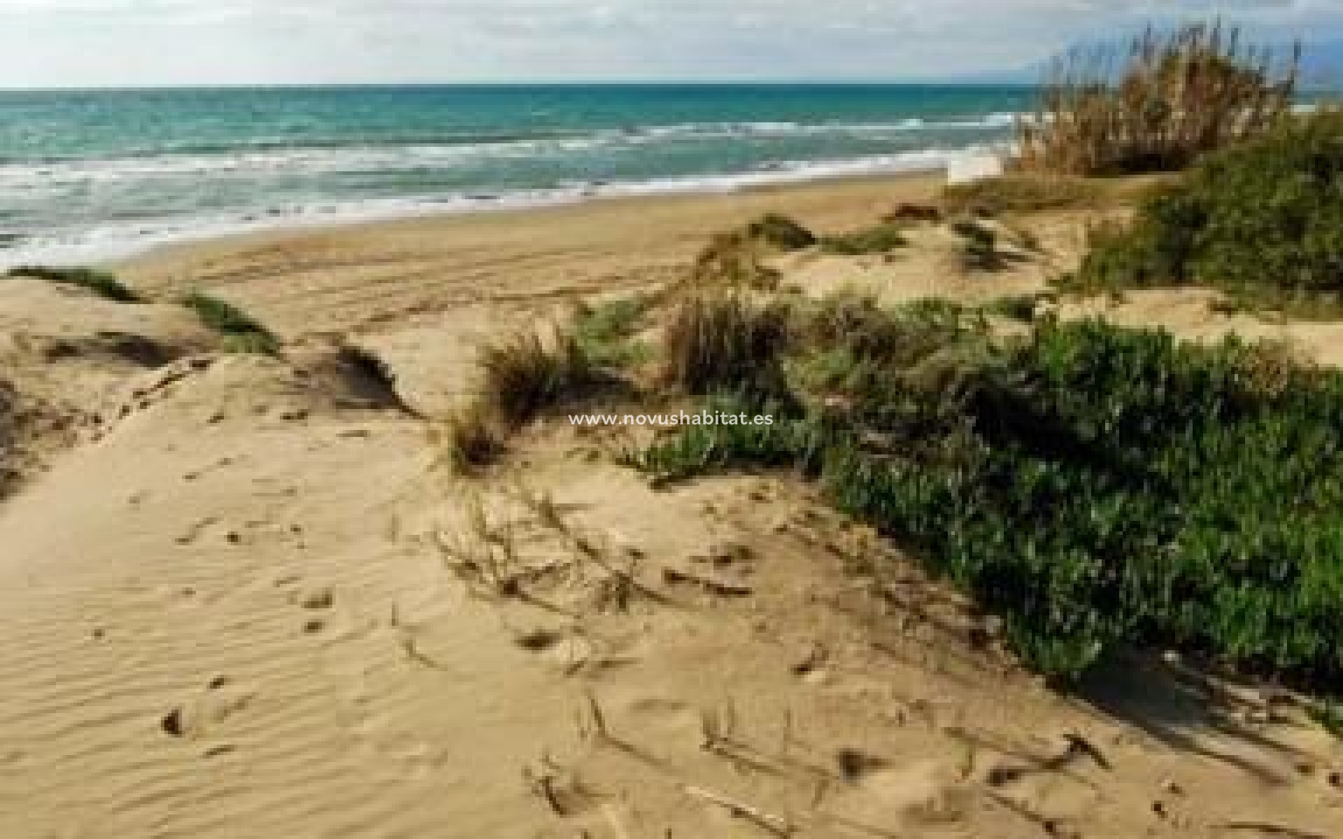 Nýbygging - Ground floor apartment - Marbella