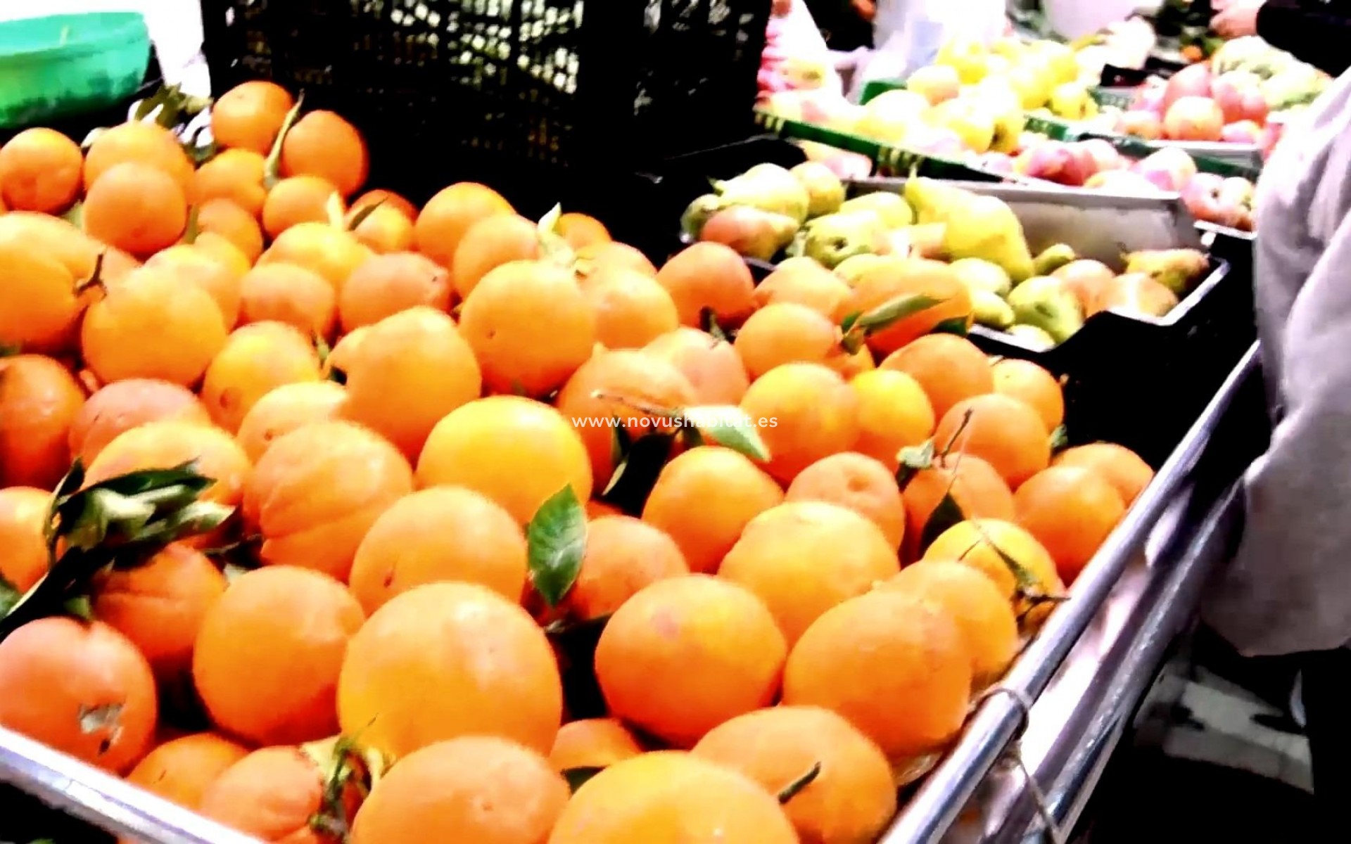 Nýbygging - Ground floor apartment - Torrevieja