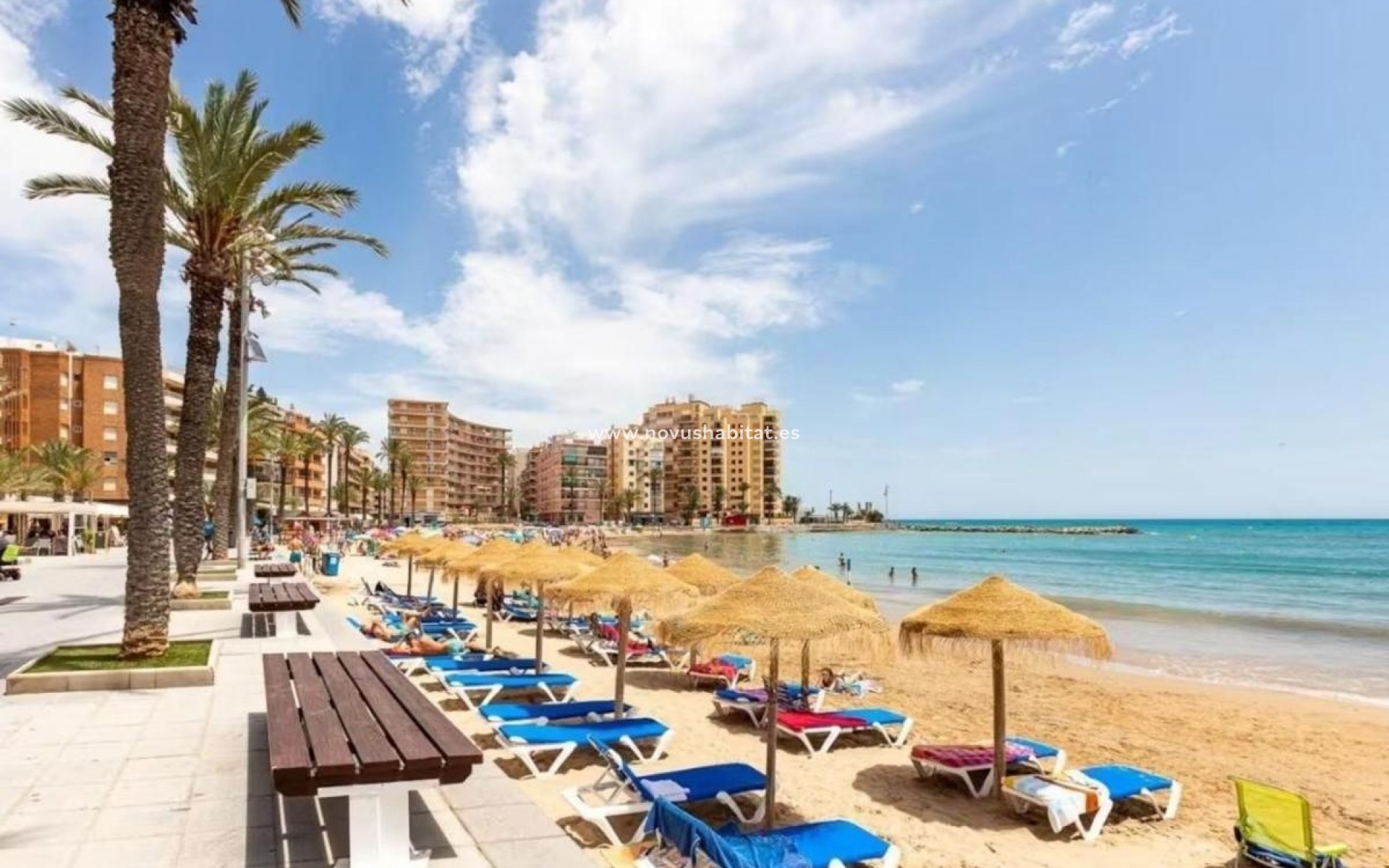 Nýbygging - Houses - Torrevieja