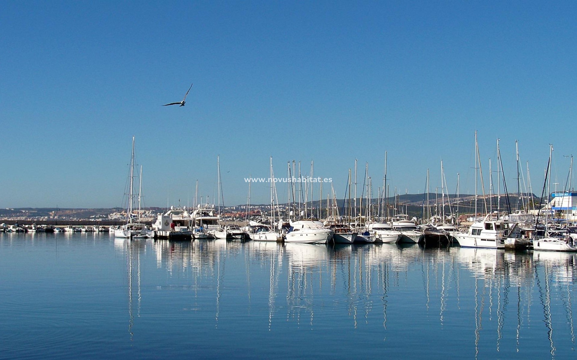 Nýbygging - Íbúð - Estepona - Buenas Noches