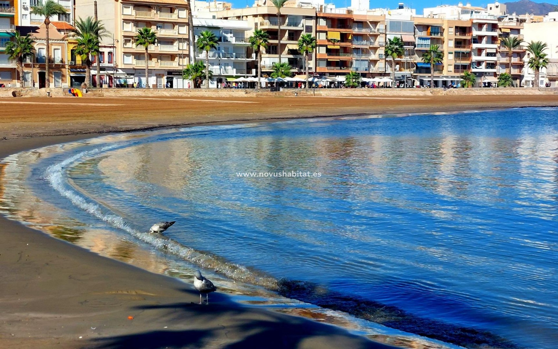 Nýbygging - Íbúð - Fuente Álamo