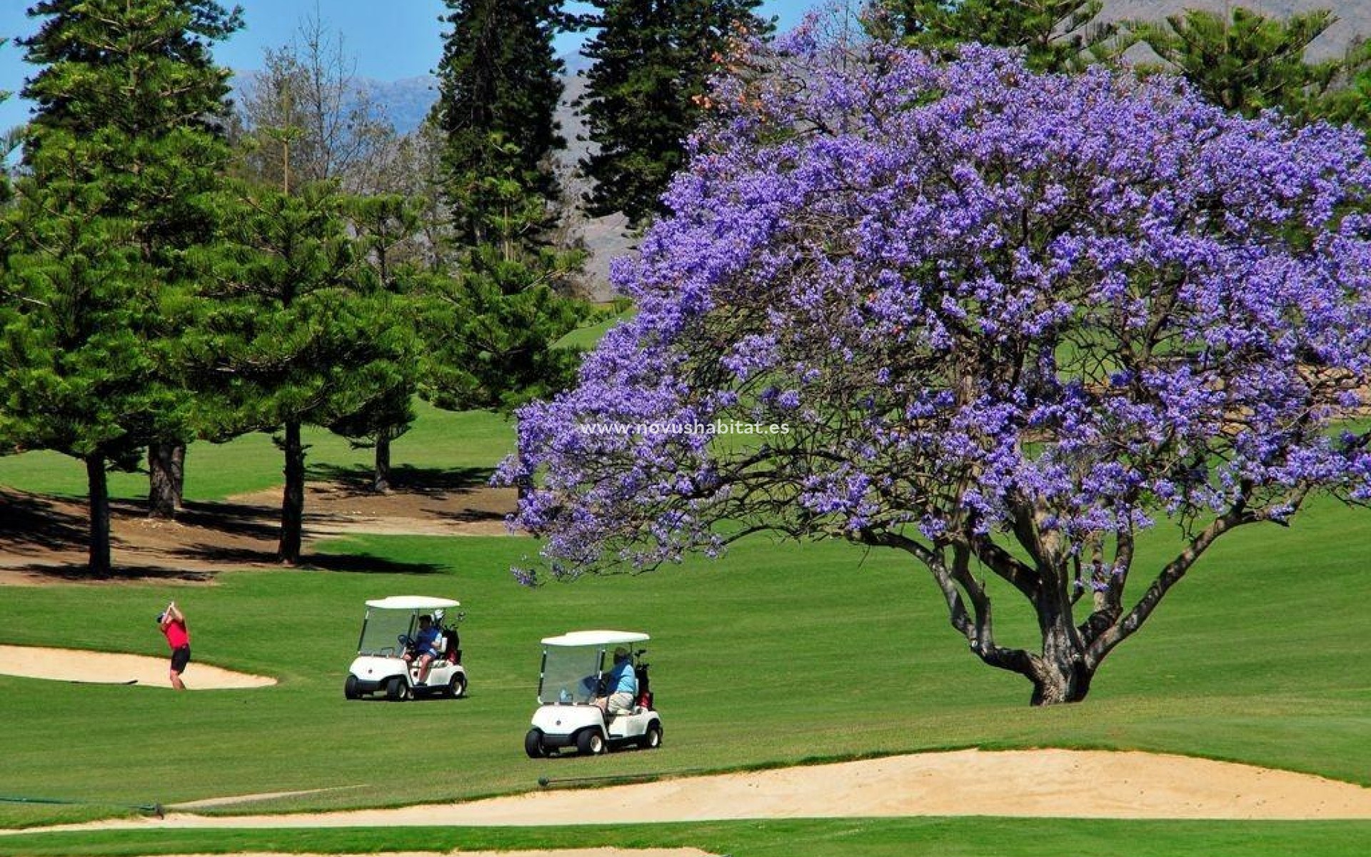 Nýbygging - Íbúð - Mijas