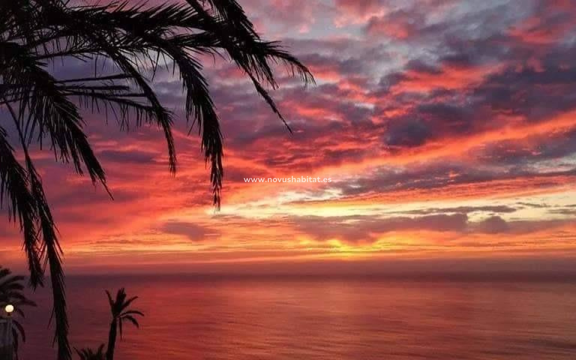 Nýbygging - Íbúð - Torrevieja