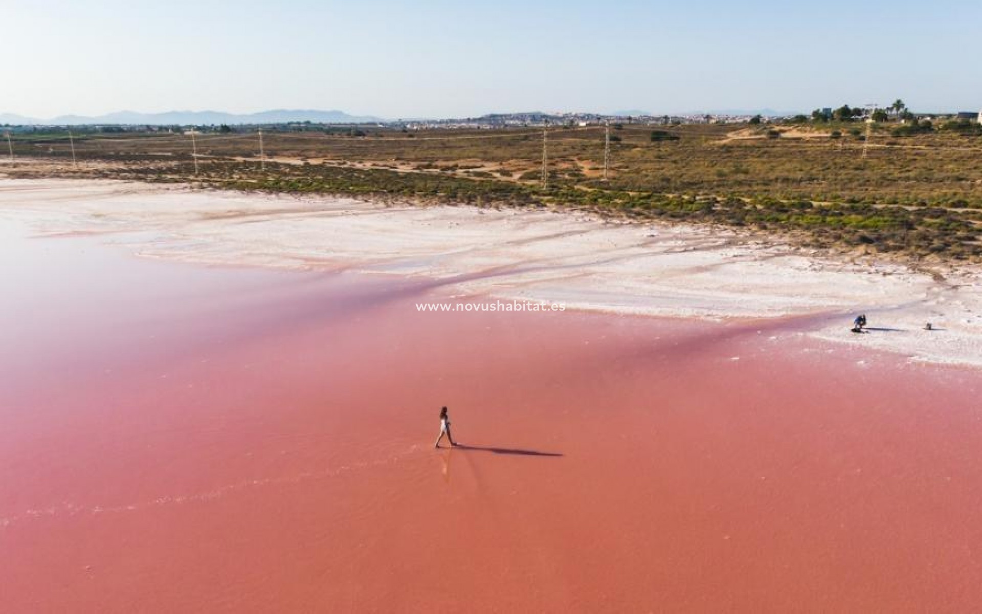 Nýbygging - Íbúð - Torrevieja