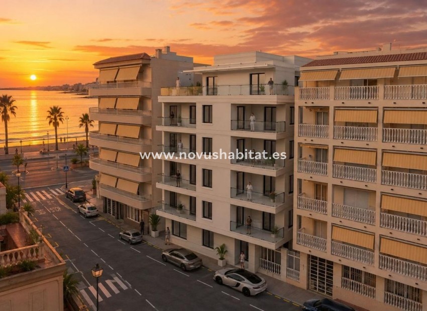 Nýbygging - Íbúð - Torrevieja