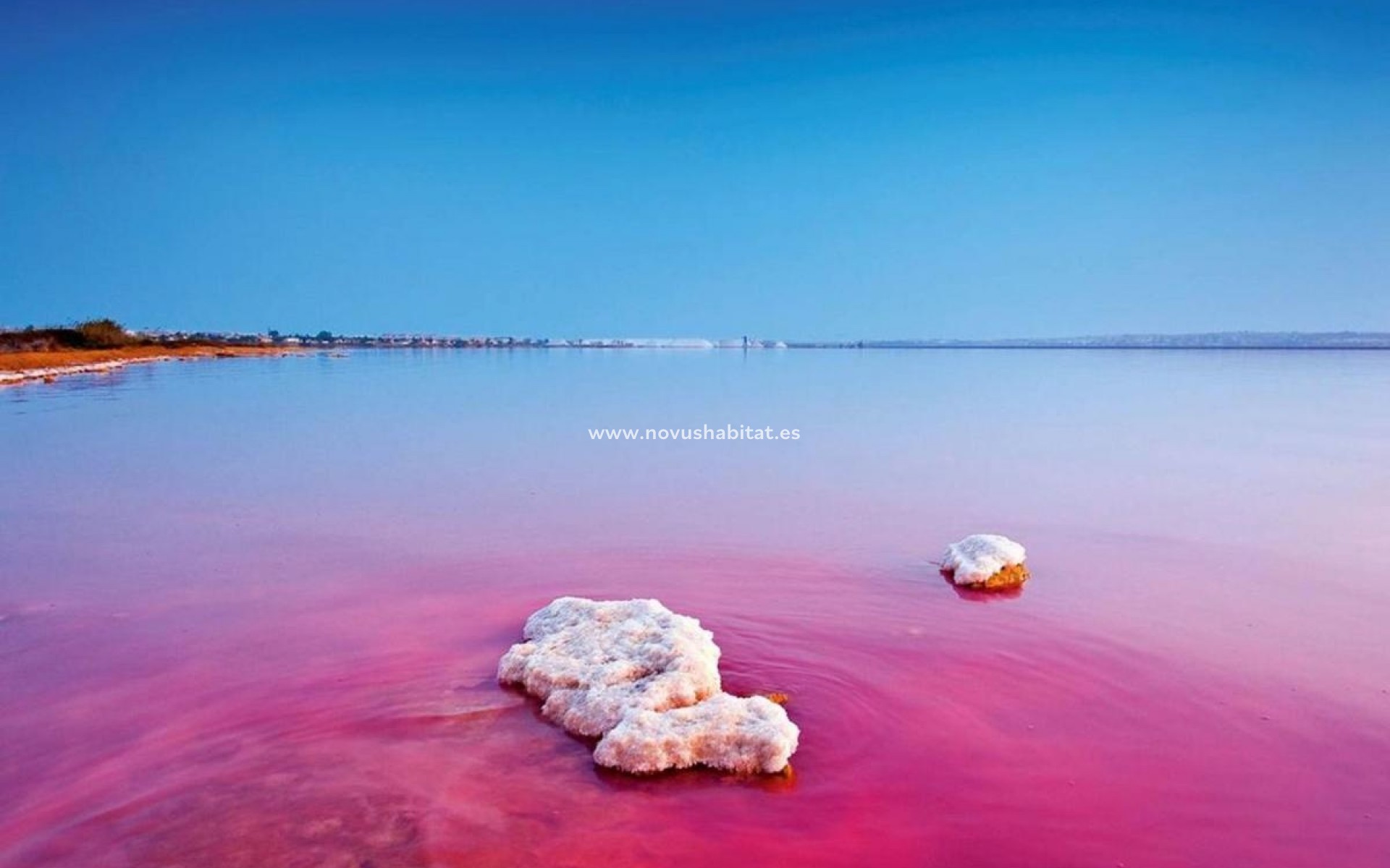 Nýbygging - Íbúð - Torrevieja