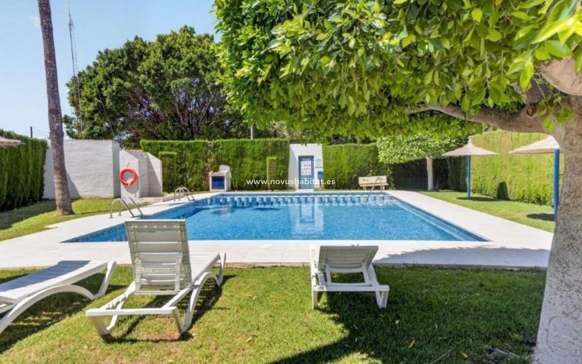 Nýbygging - Penthouses - Torrevieja