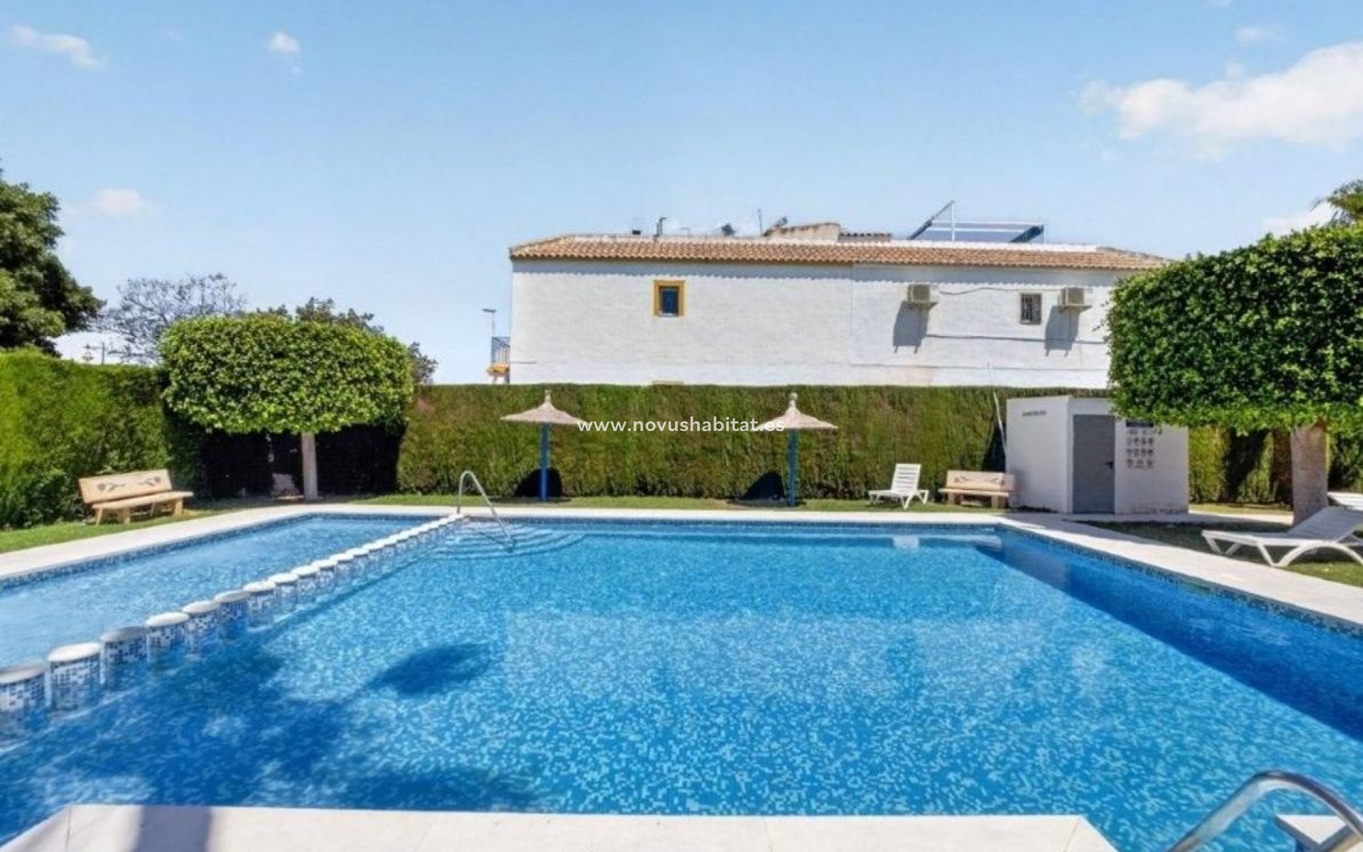 Nýbygging - Penthouses - Torrevieja