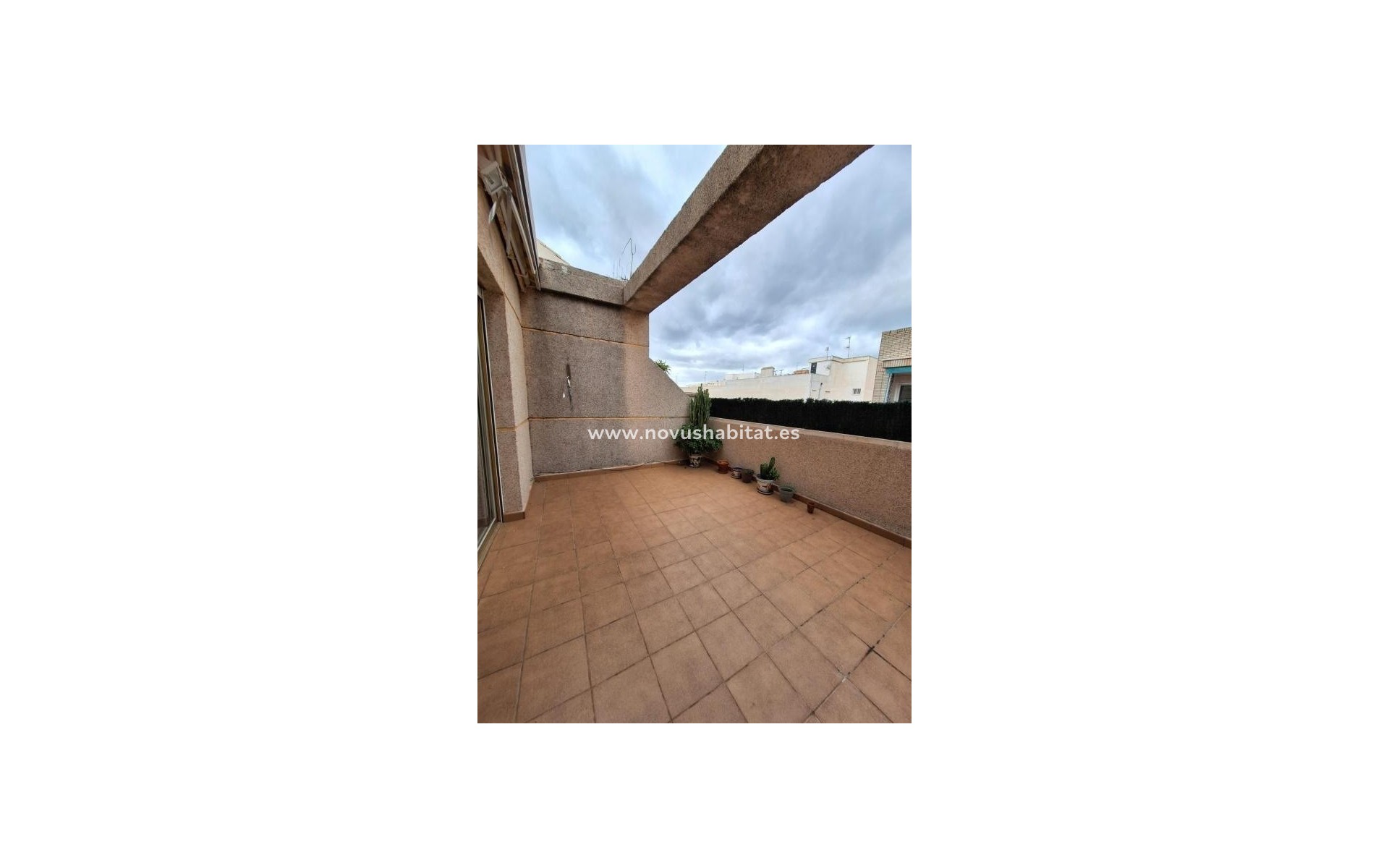 Nýbygging - Penthouses - Torrevieja