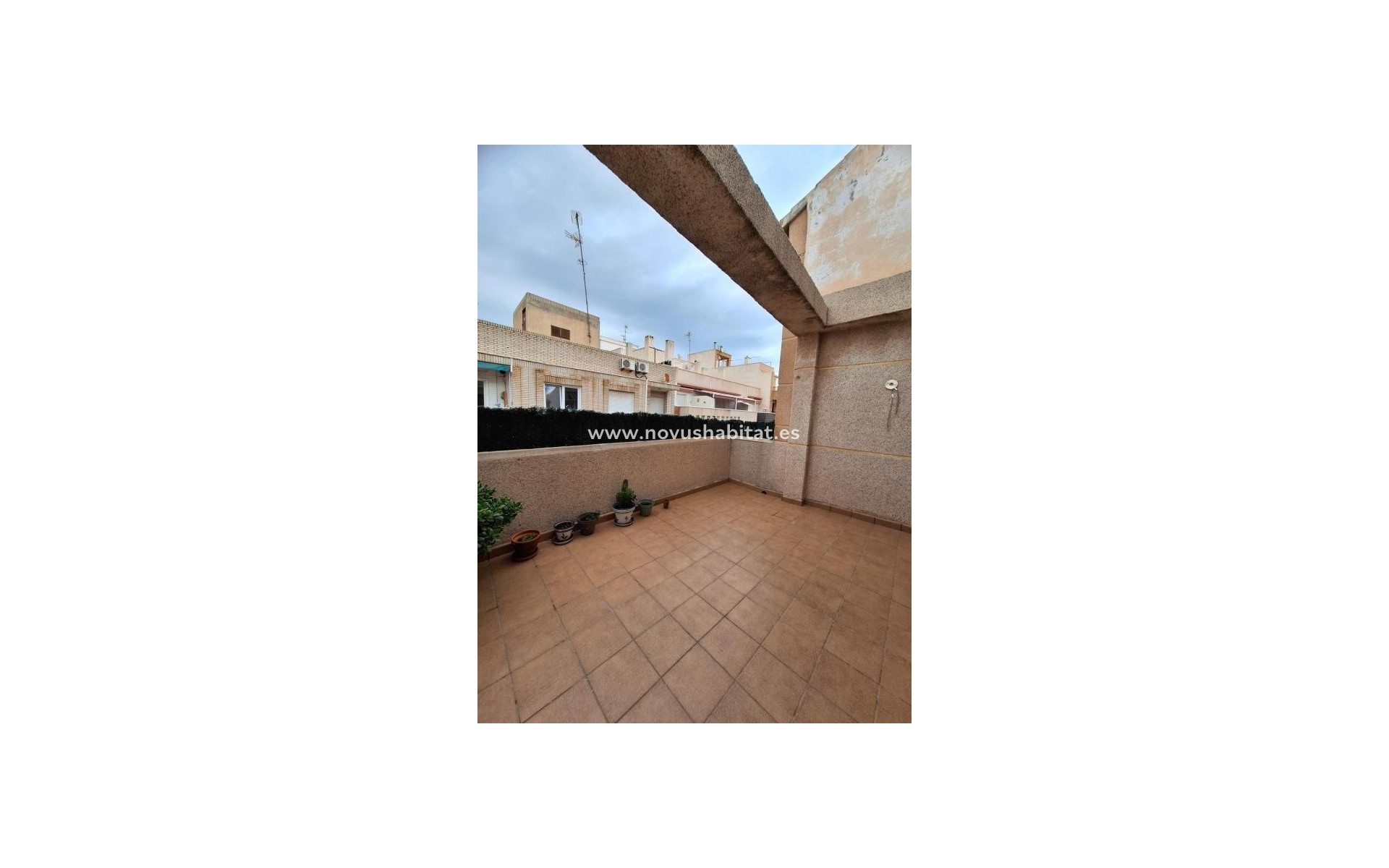 Nýbygging - Penthouses - Torrevieja