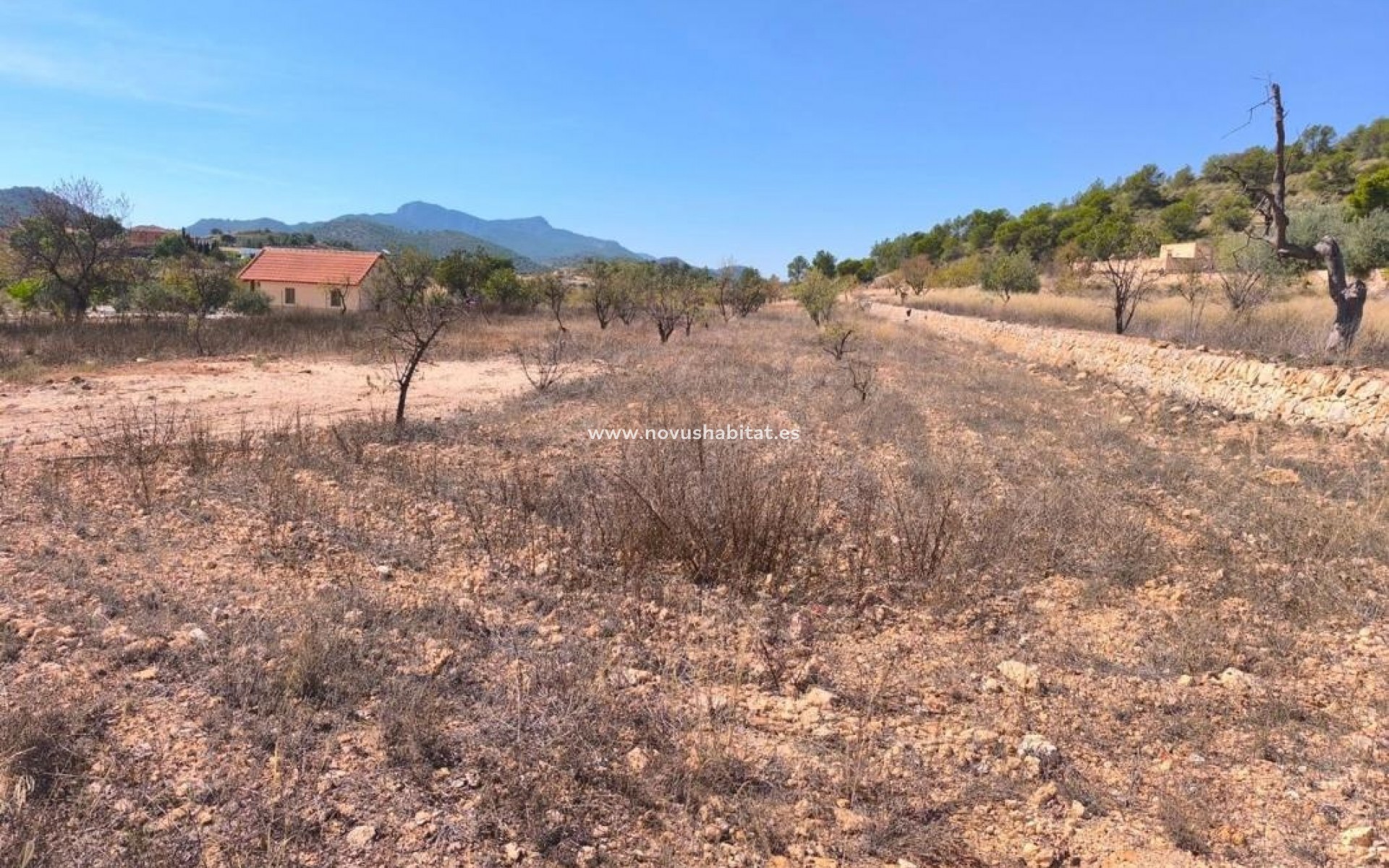 Nýbygging - Rustic estate - Pinoso