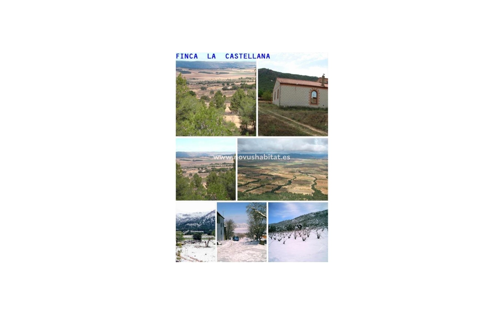 Nýbygging - Rustic estate - Villena