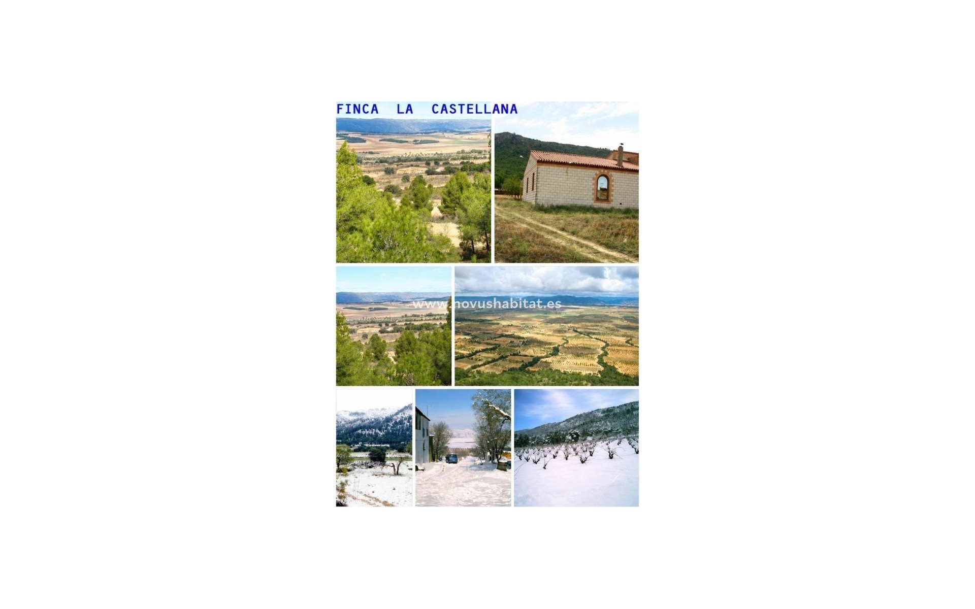 Nýbygging - Rustic estate - Villena