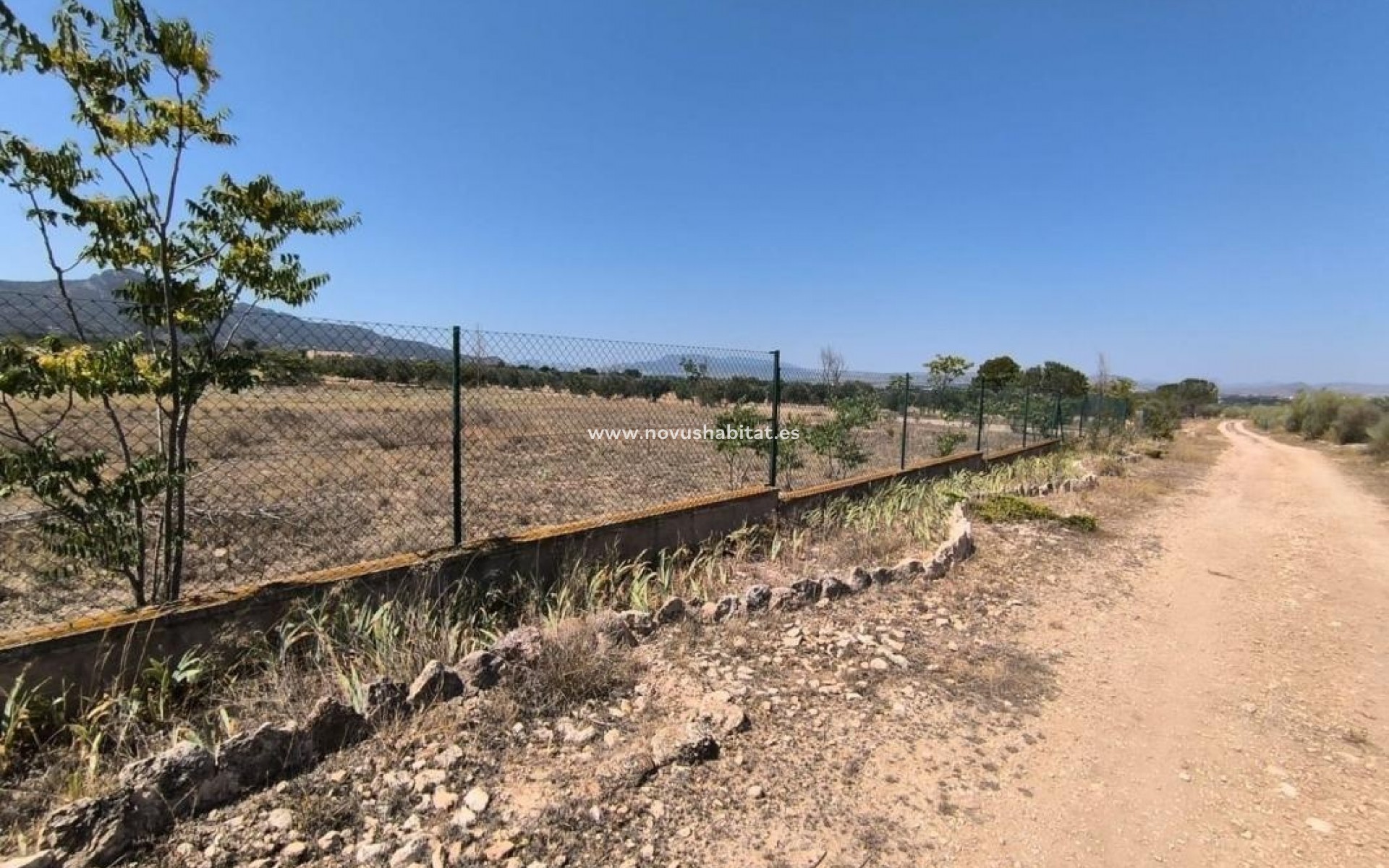 Nýbygging - Rustic estate - Villena