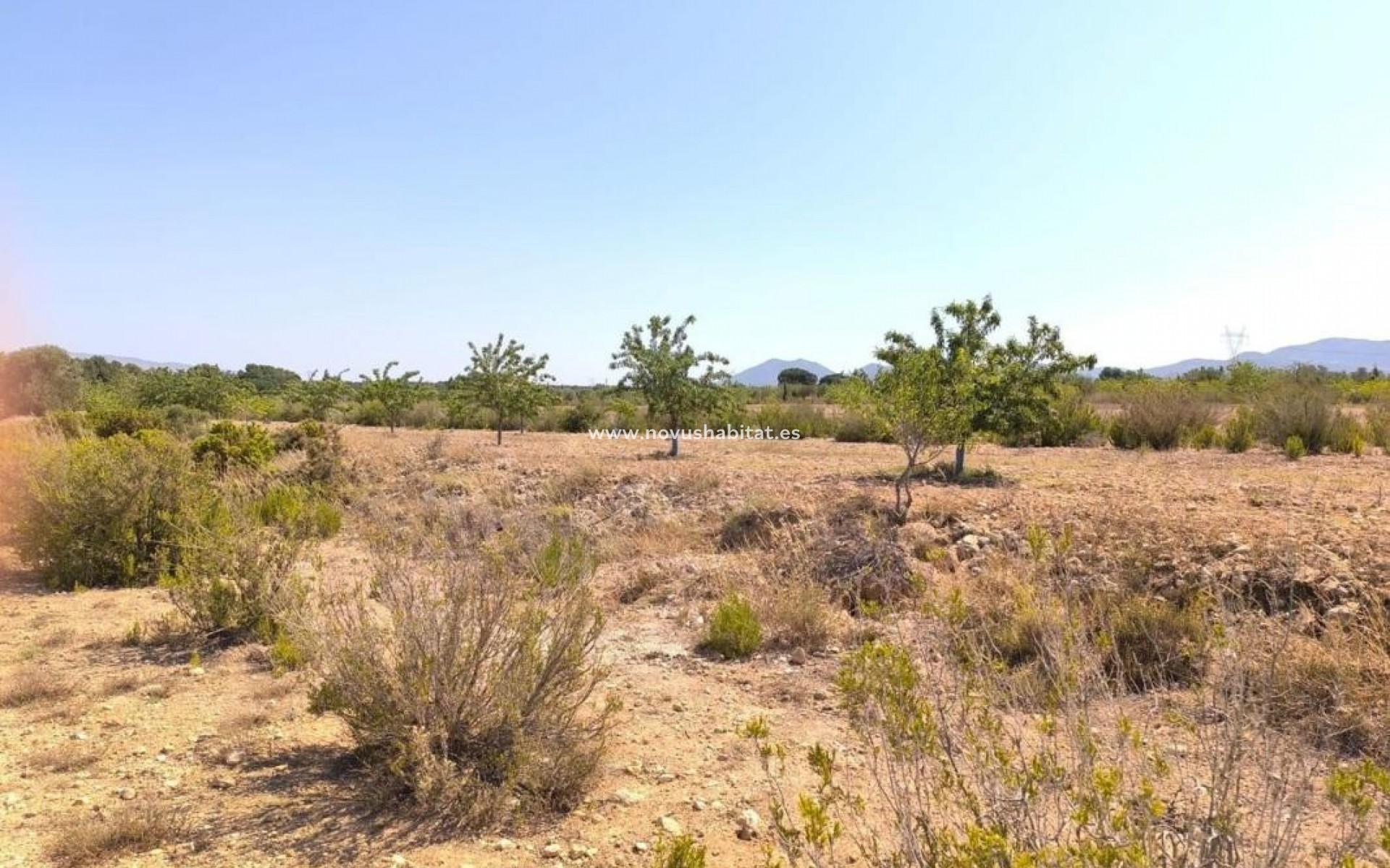 Nýbygging - Rustic estate - Villena