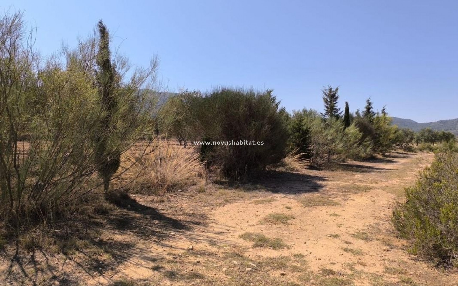 Nýbygging - Rustic estate - Villena