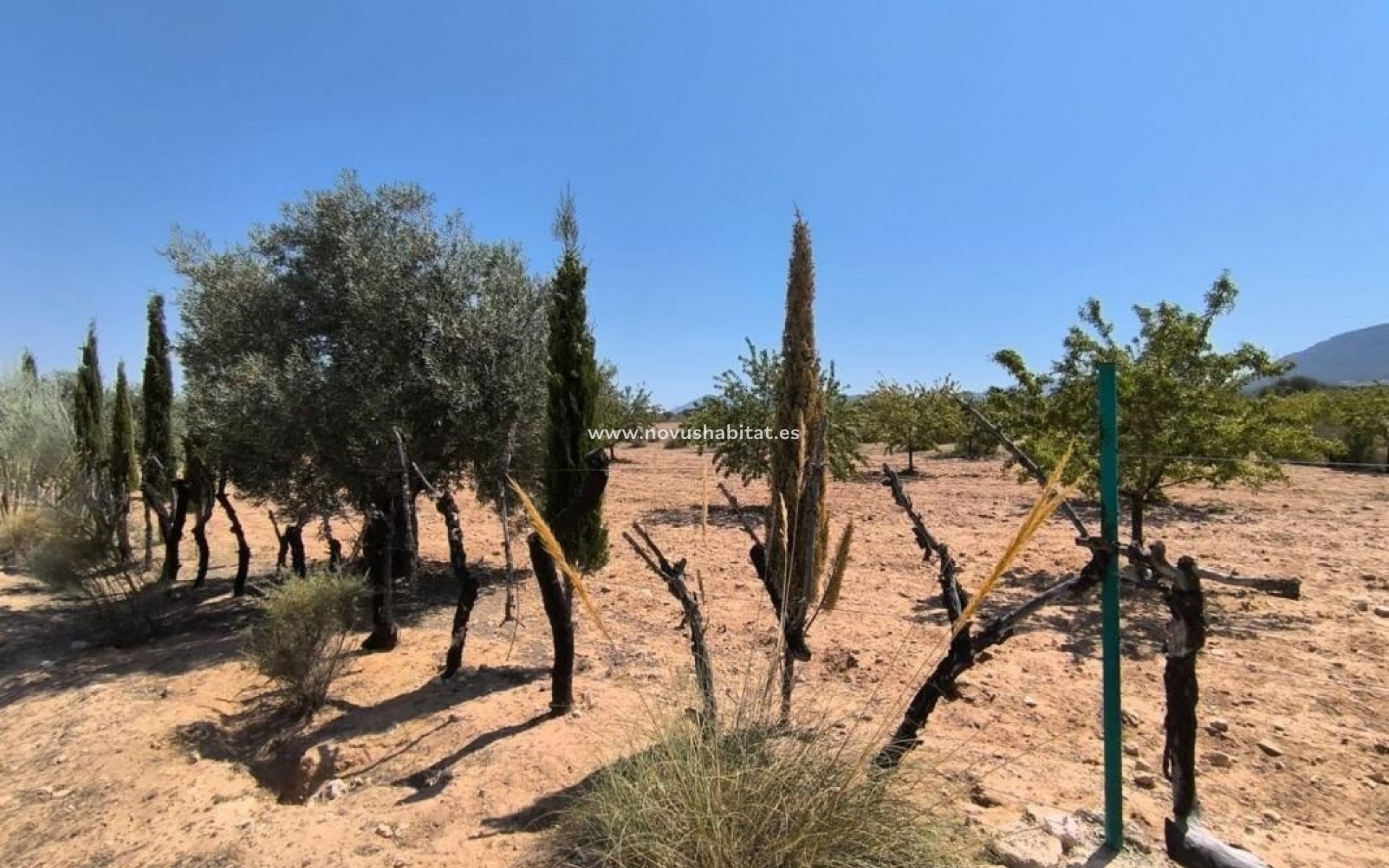 Nýbygging - Rustic estate - Villena