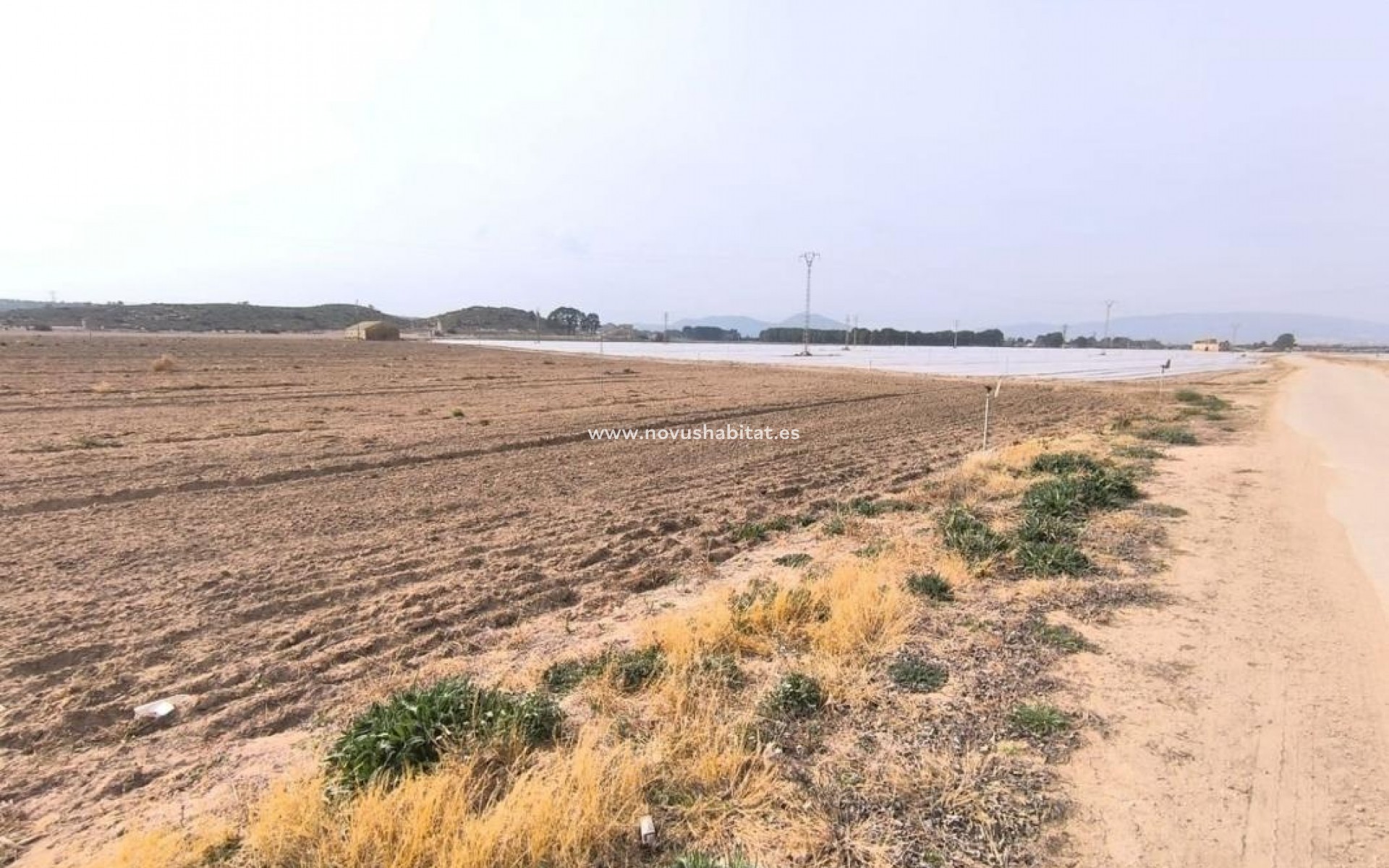 Nýbygging - Urban - Villena