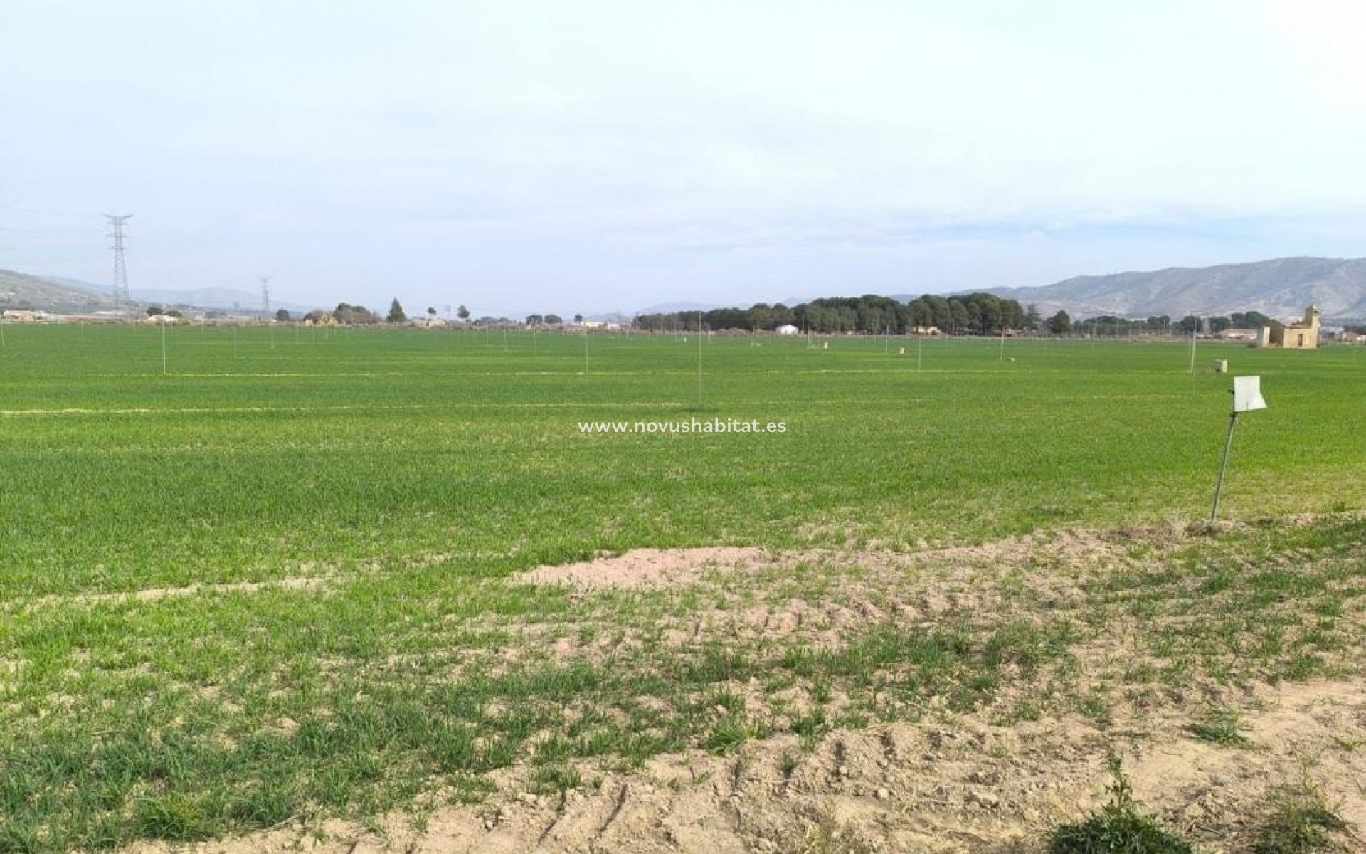 Nýbygging - Urban - Villena