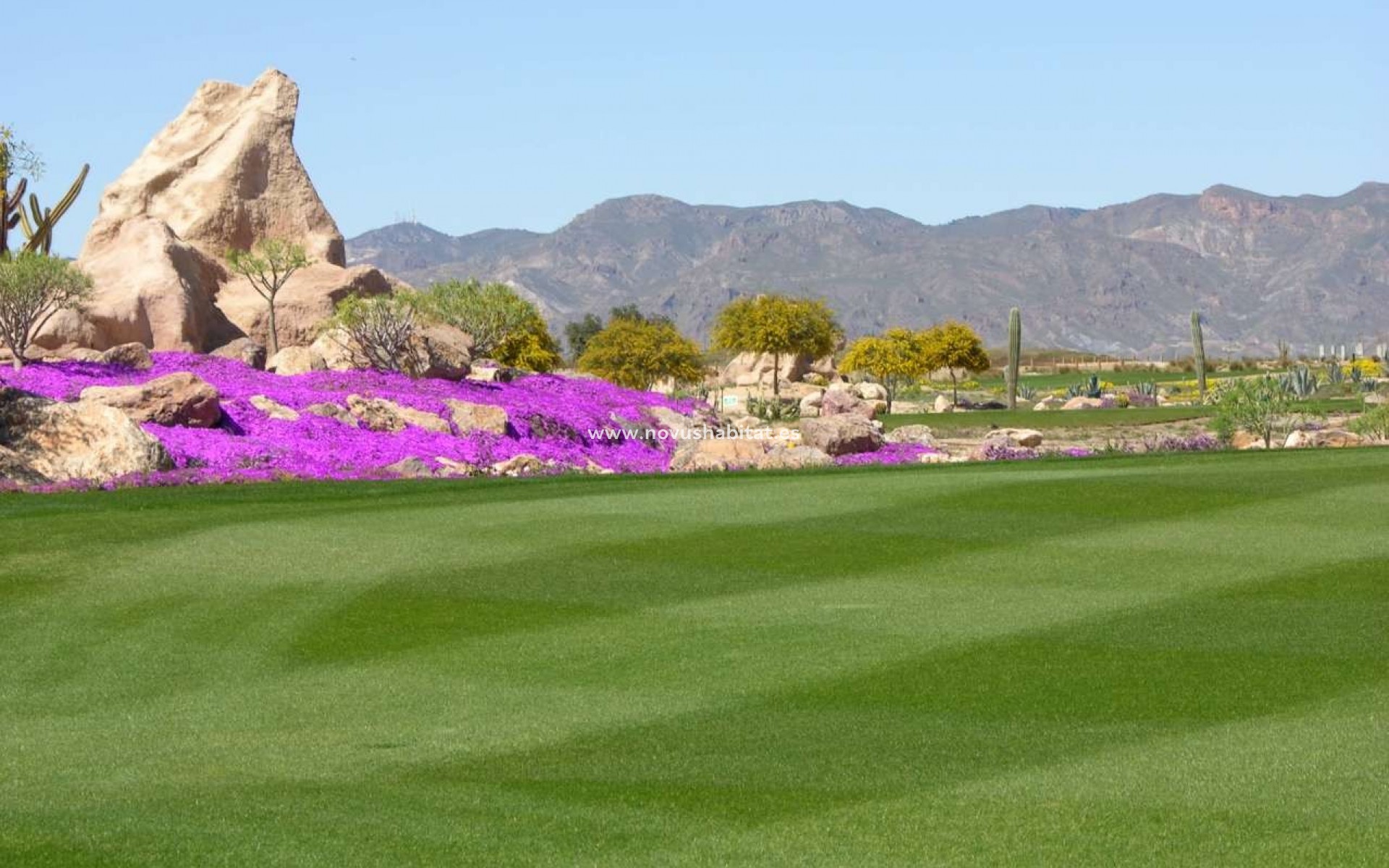 Nýbygging - Villa - Cuevas del Almanzora - Villaricos