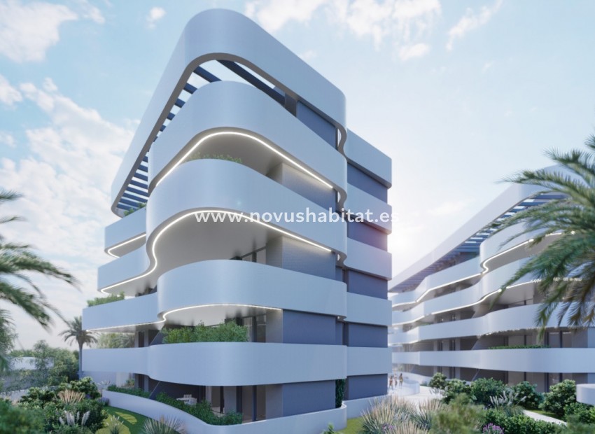 Nýbygging - Villa - Guardamar del Segura