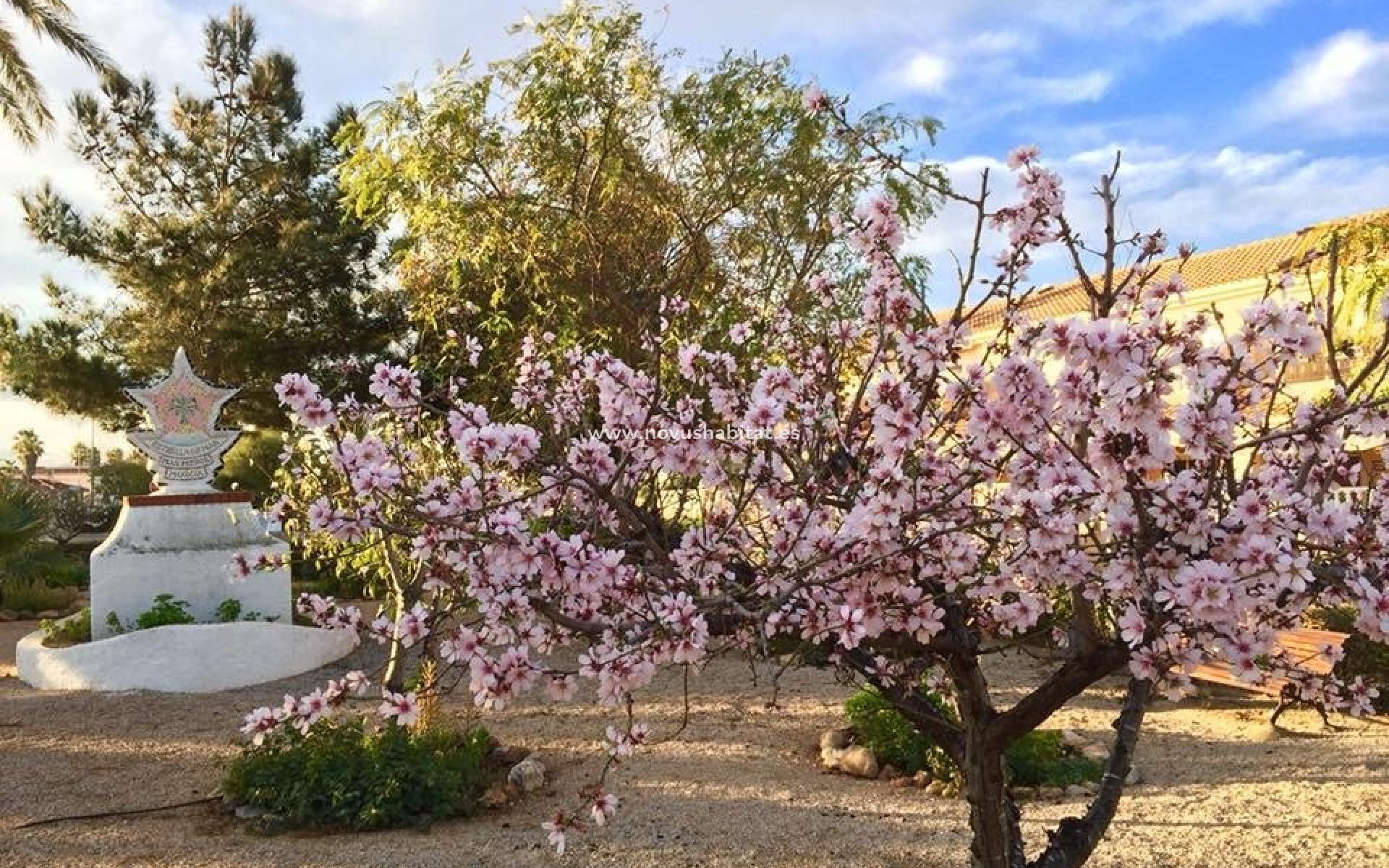 Nýbygging - Villa - Los Urrutias - Estrella De Mar