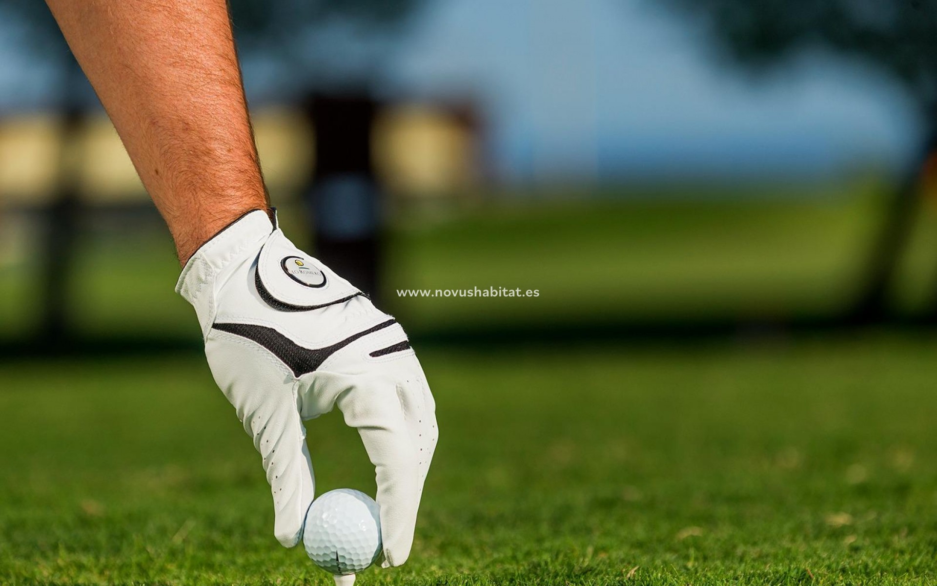 Nýbygging - Villa - Pilar de la Horadada