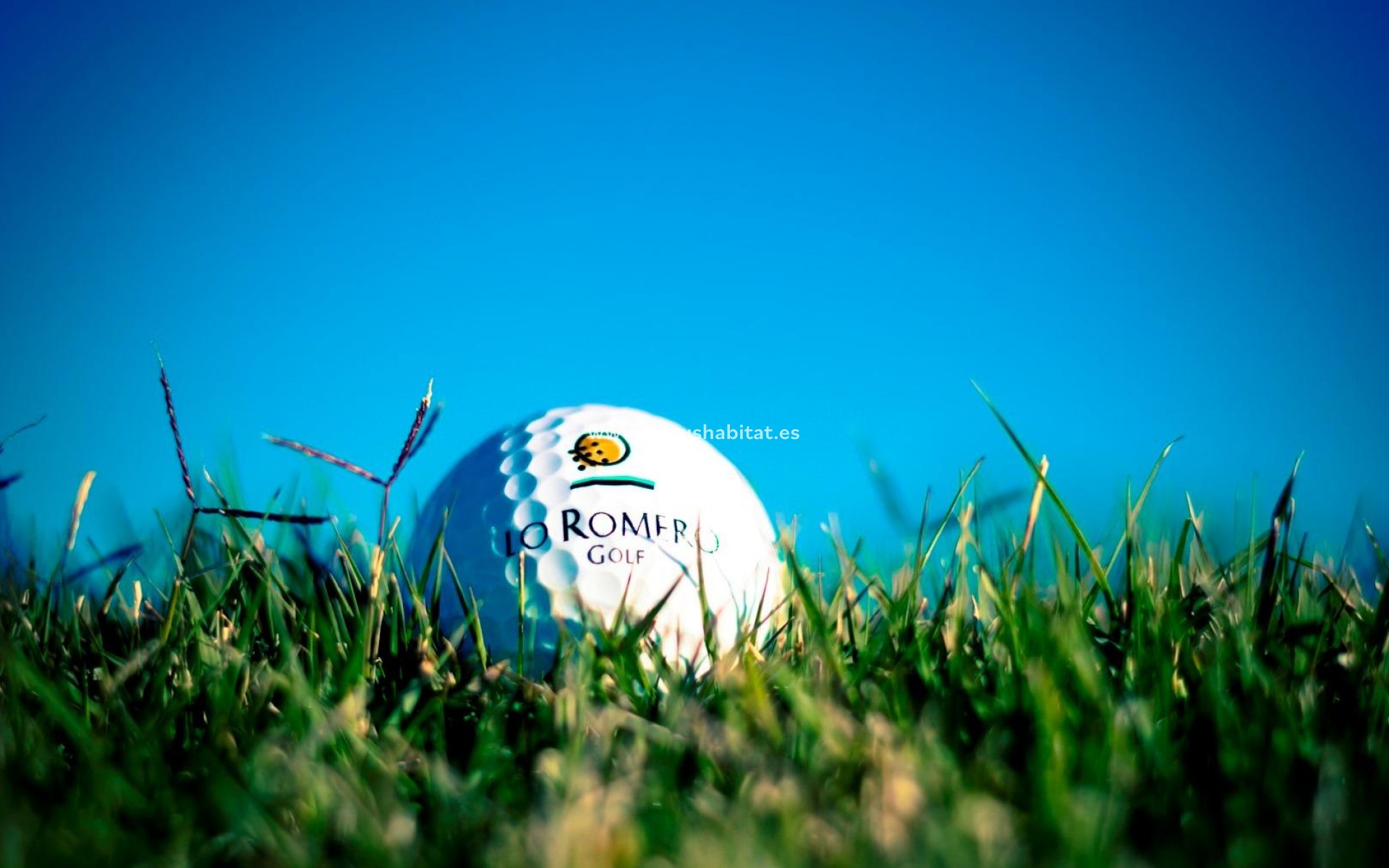 Nýbygging - Villa - Pilar de la Horadada