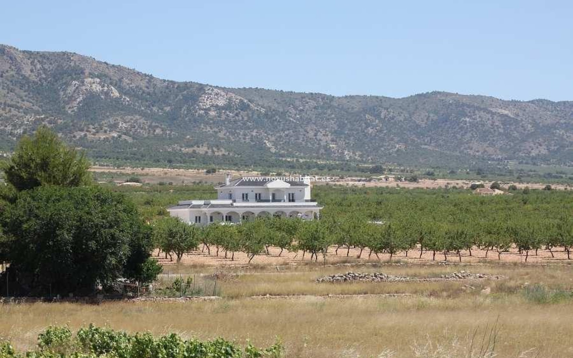 Nýbygging - Villa - Pinoso