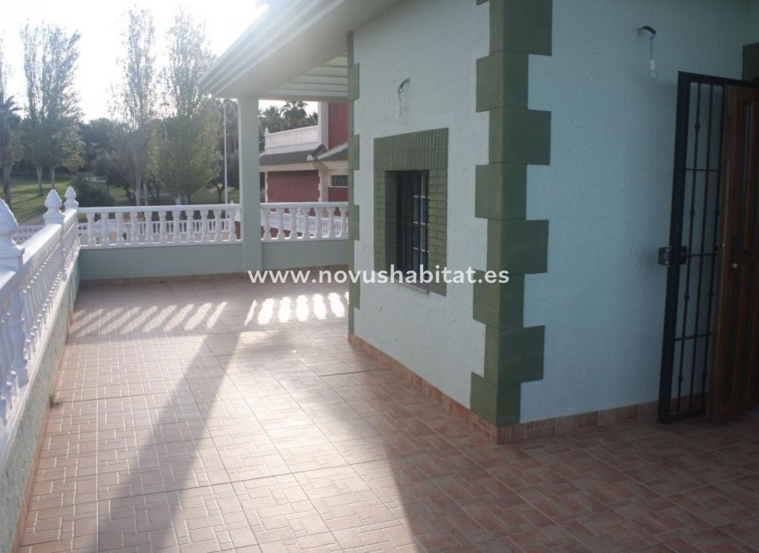 Nýbygging - Villa - Torrevieja