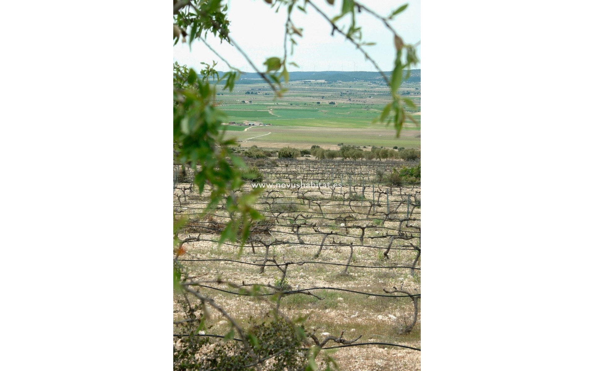 Nýbygging - Villa - Yecla