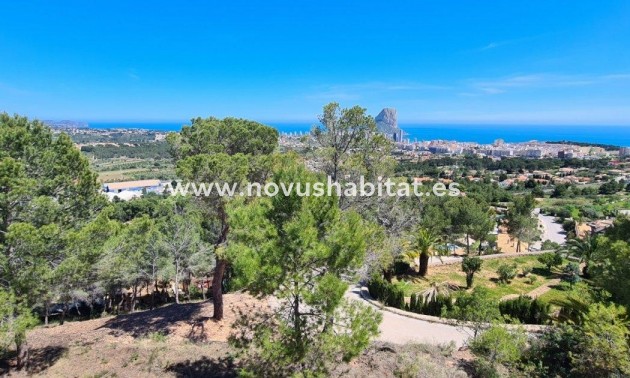  Paket - Wiederverkauf - Calpe - Calpe