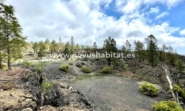  Paket - Wiederverkauf - Guia De Isora - Chirche Guia De Isora