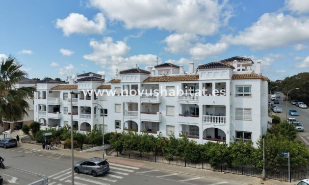 Penthouses - Neue Gebäude - Orihuela - Orihuela